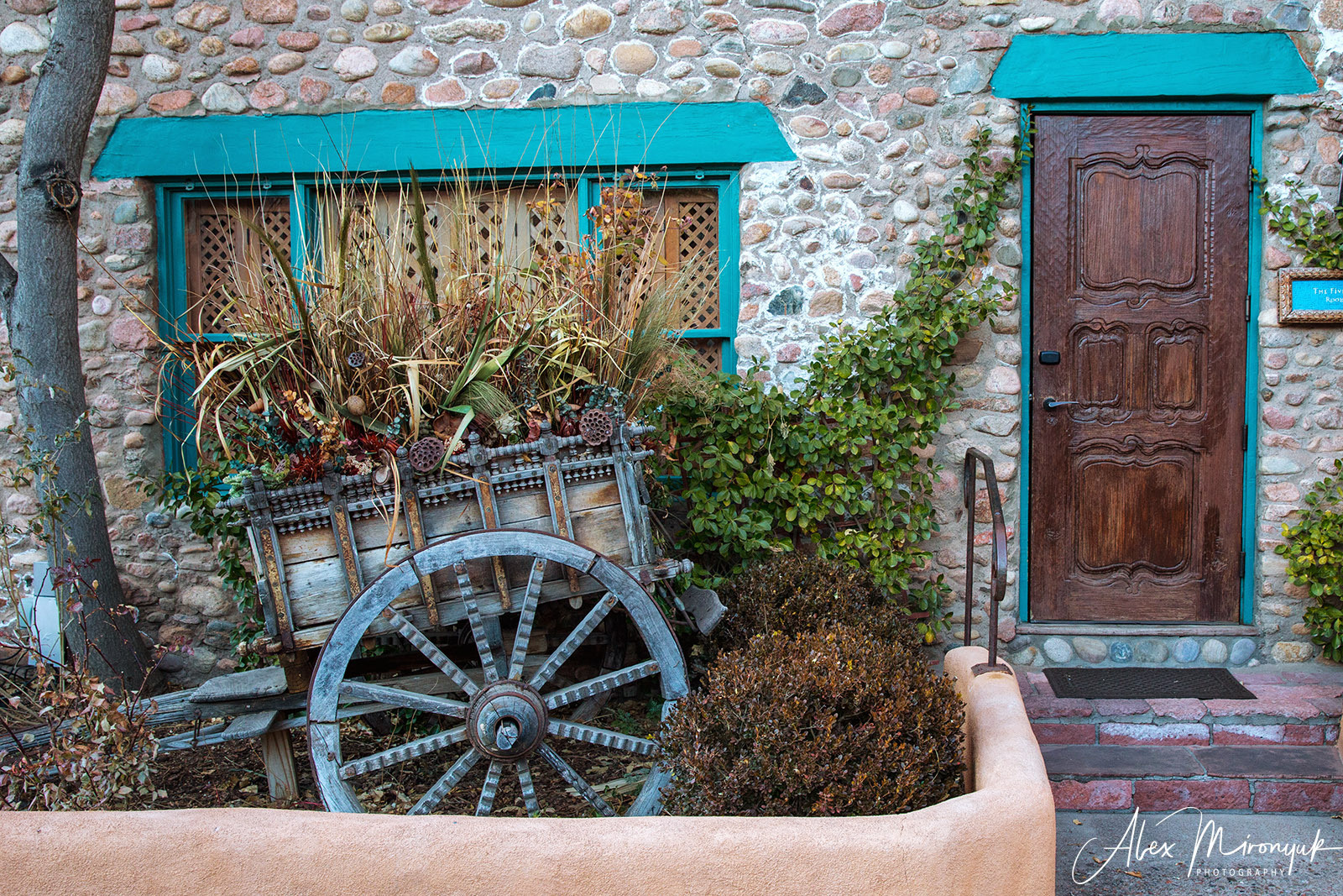 The Best of New Mexico. Pet, Senior, Landscape, portrait studio, photographer in Miami and Sou