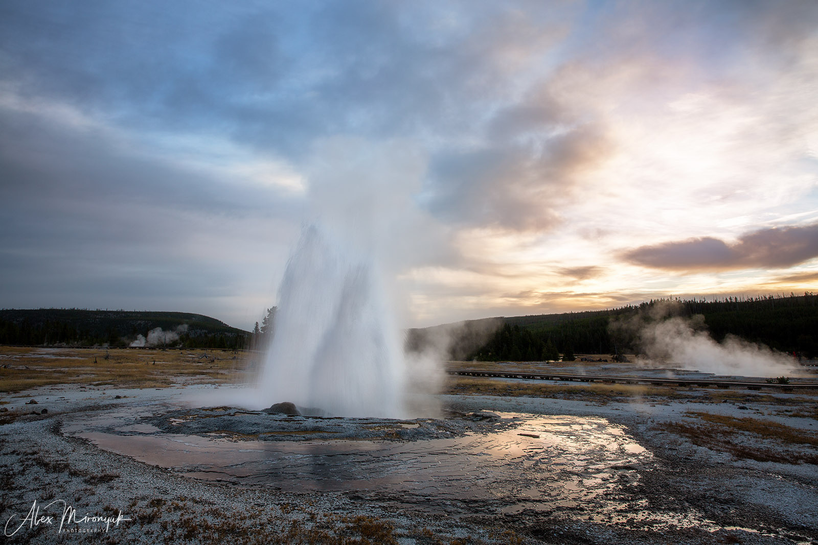 Yellowstone & Grand Teton. Alex Mironyuk Photography