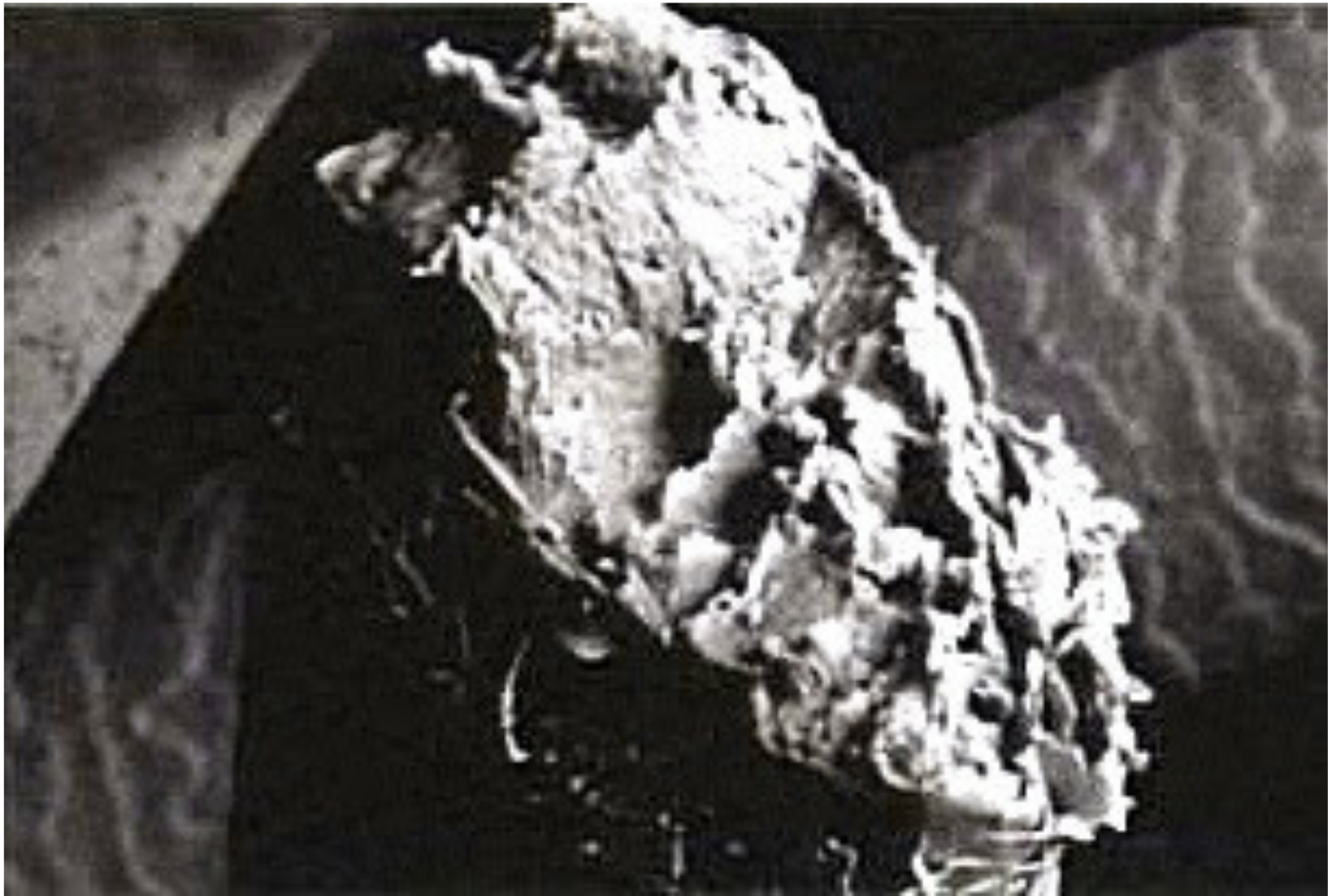 Почему важно вовремя затачивать парикмахерские ножницы?. Мастер по заточке и реставрации инструментов