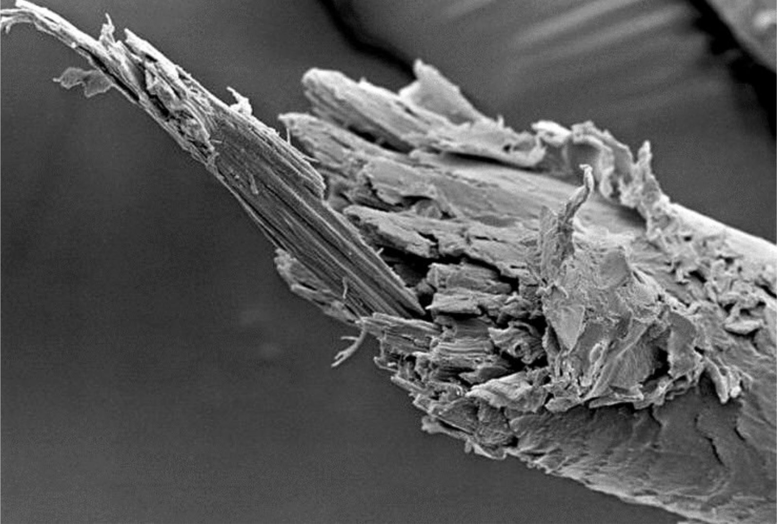 Почему важно вовремя затачивать парикмахерские ножницы?. Мастер по заточке и реставрации инструментов