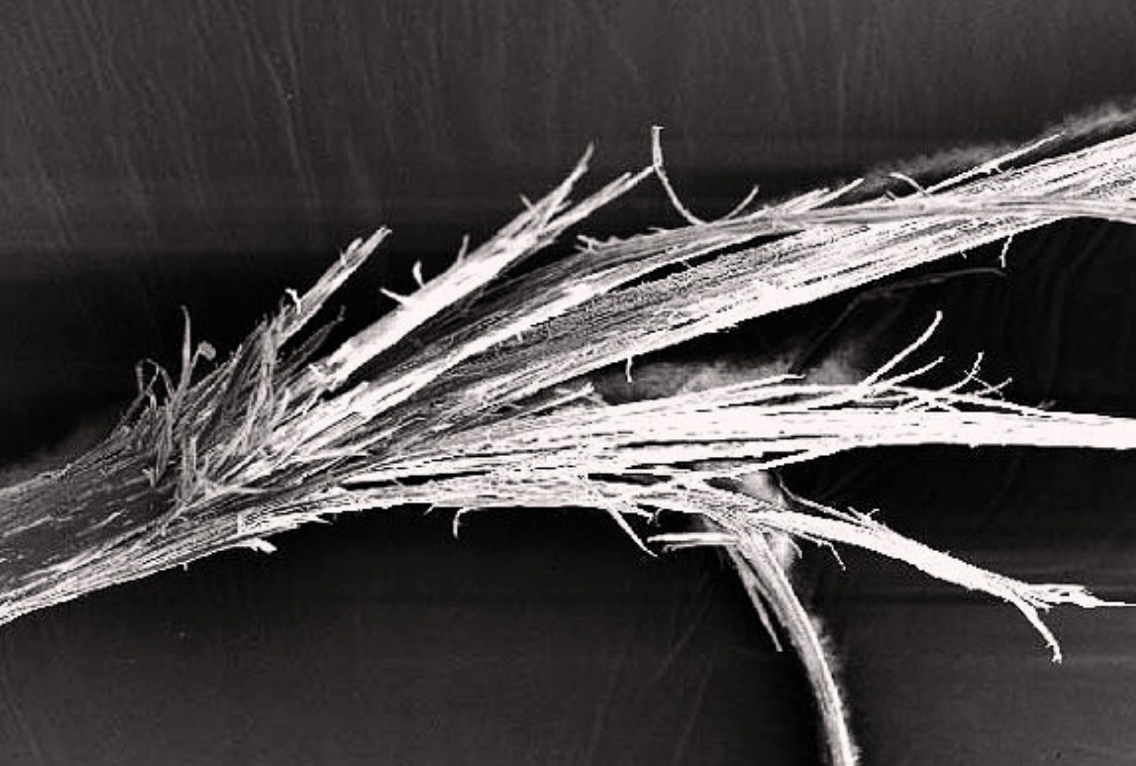 Почему важно вовремя затачивать парикмахерские ножницы?. Мастер по заточке и реставрации инструментов