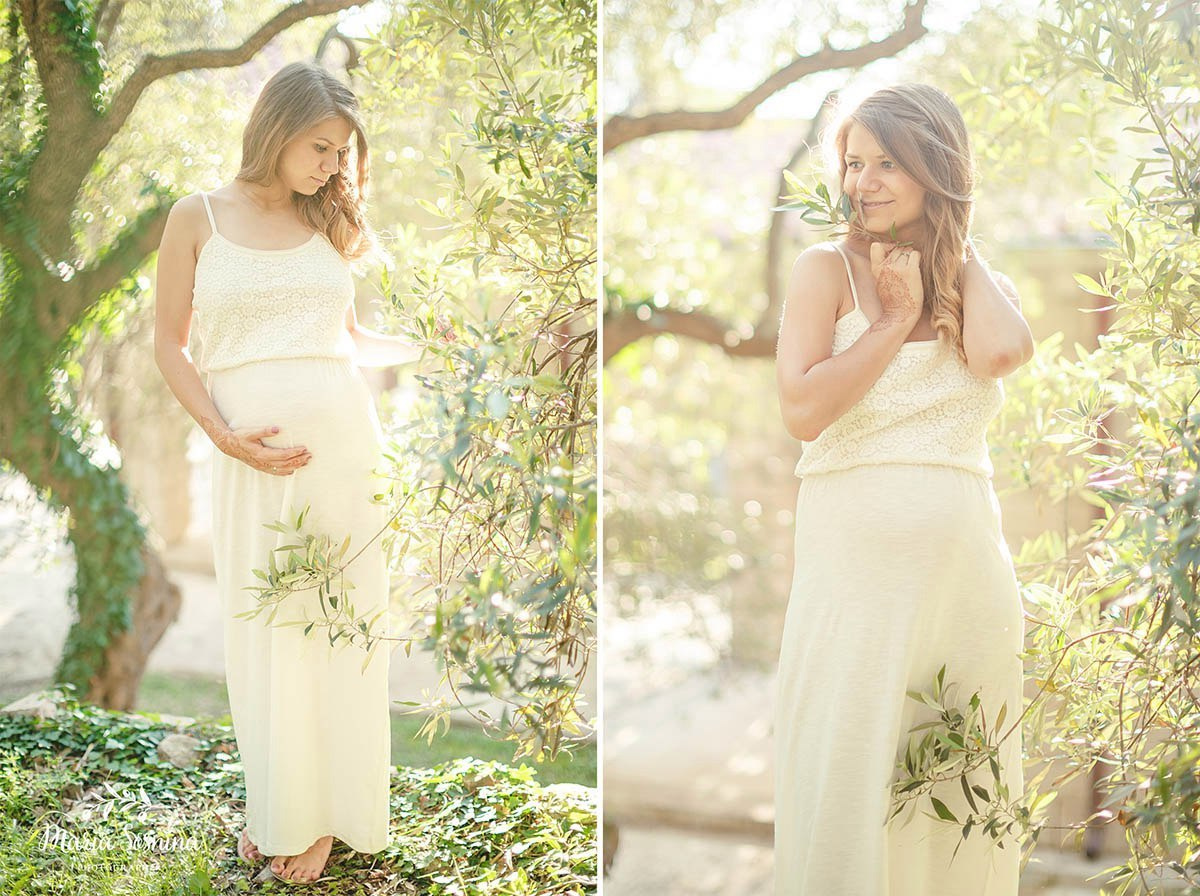 Olive forest in Milocer Montenegro
