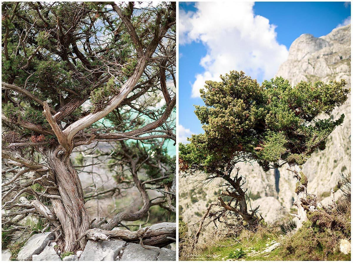 Op weg naar Lovcen vanuit Kotor