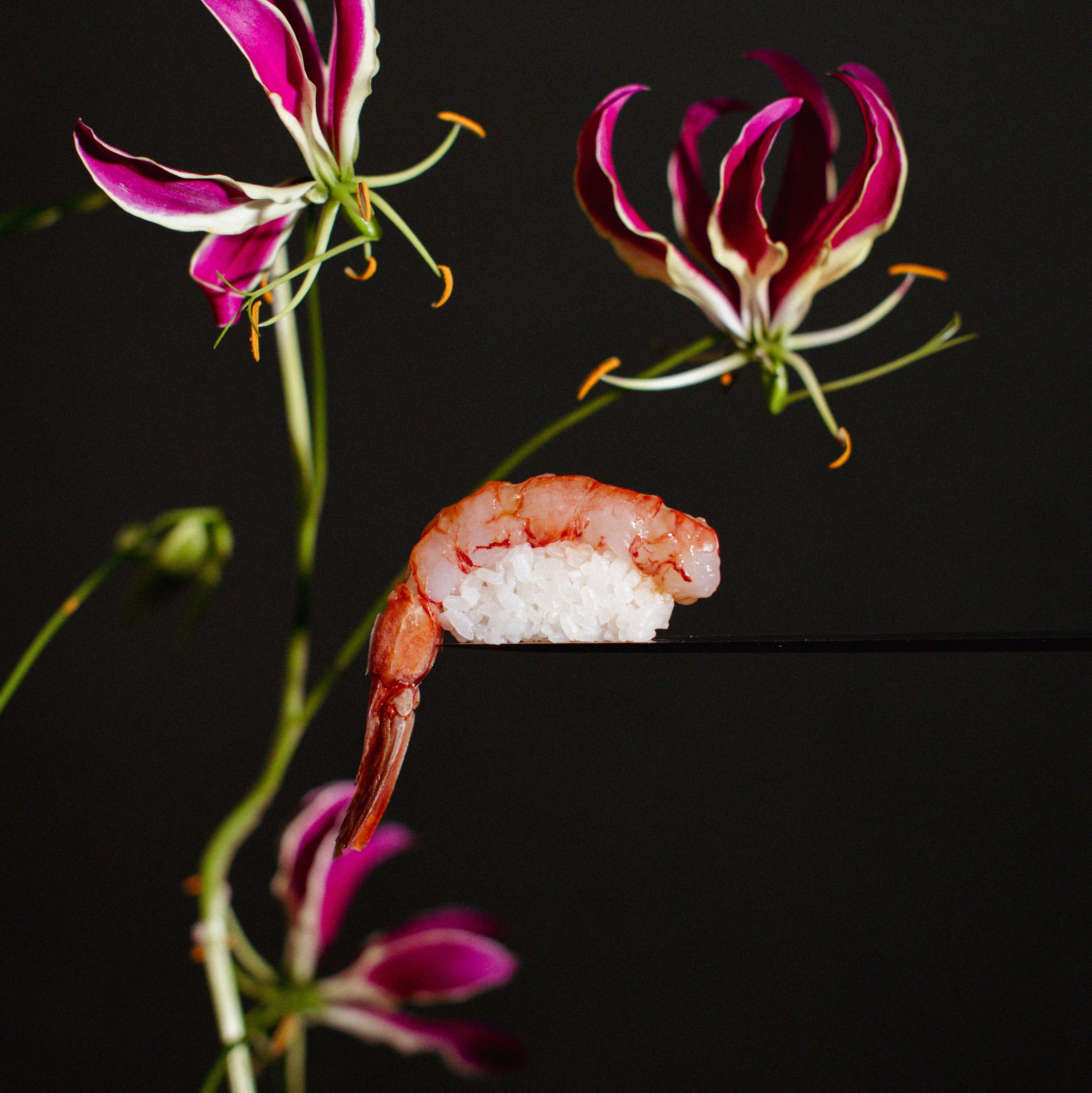Photographer Alina Sparrow