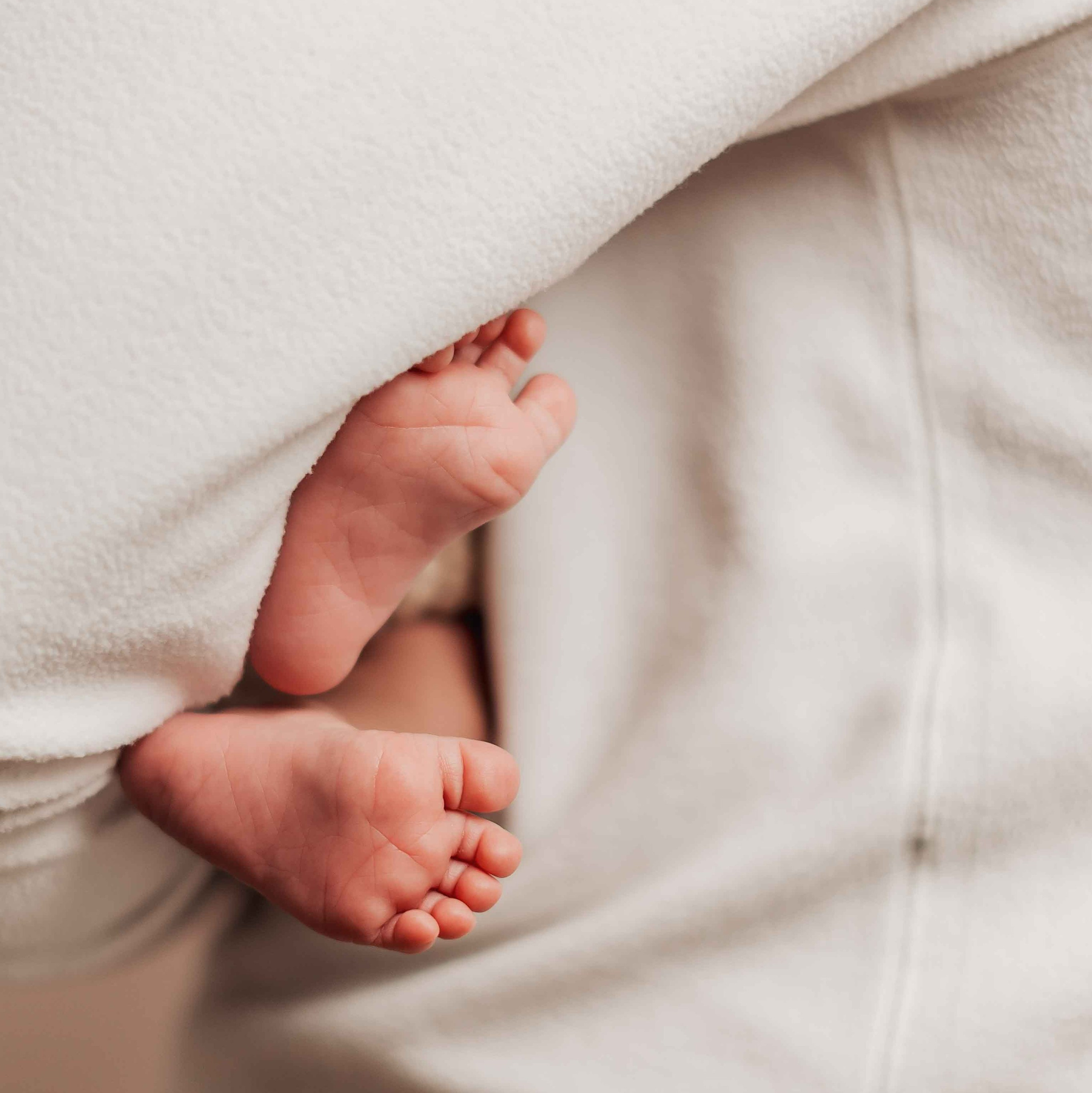 Maternity Photoshoot in Berwick