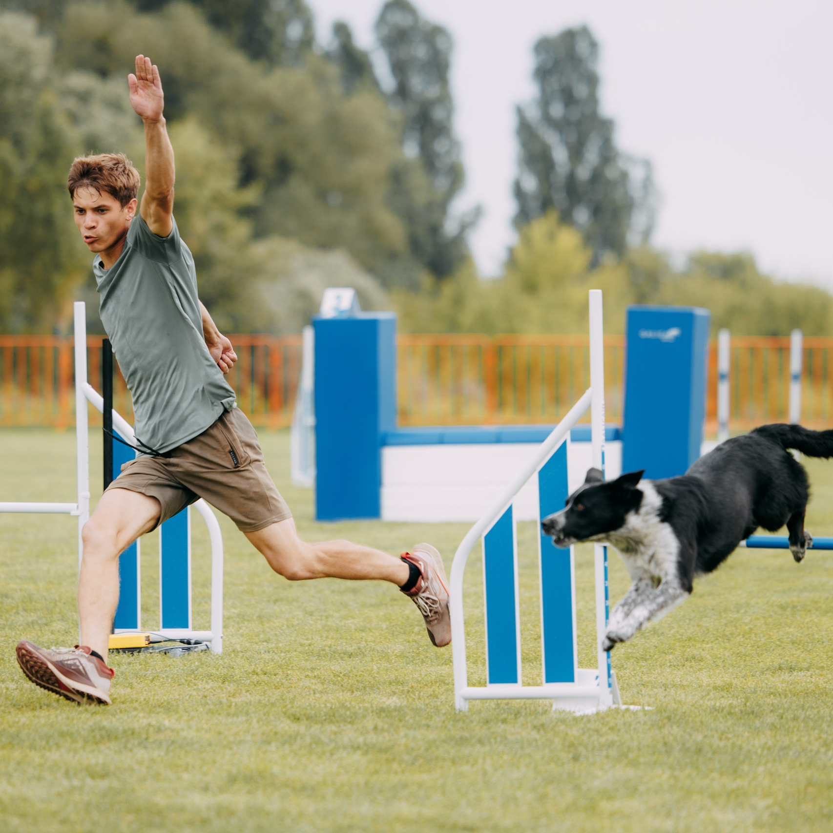 Подарунки. Фотограф-анімаліст Київ