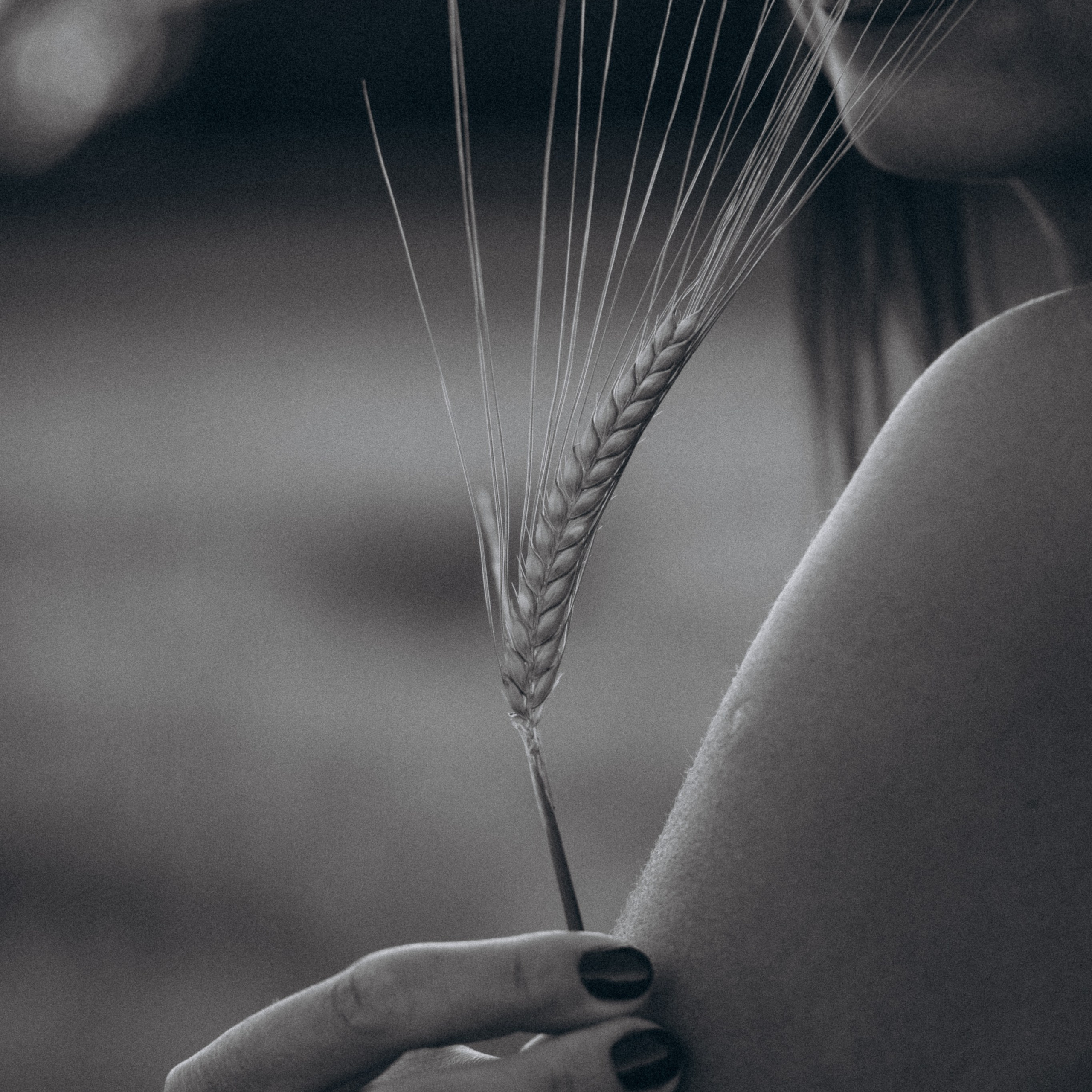 Services. Детский и семейный фотограф в городе Трир, Германия, Татьяна Журба