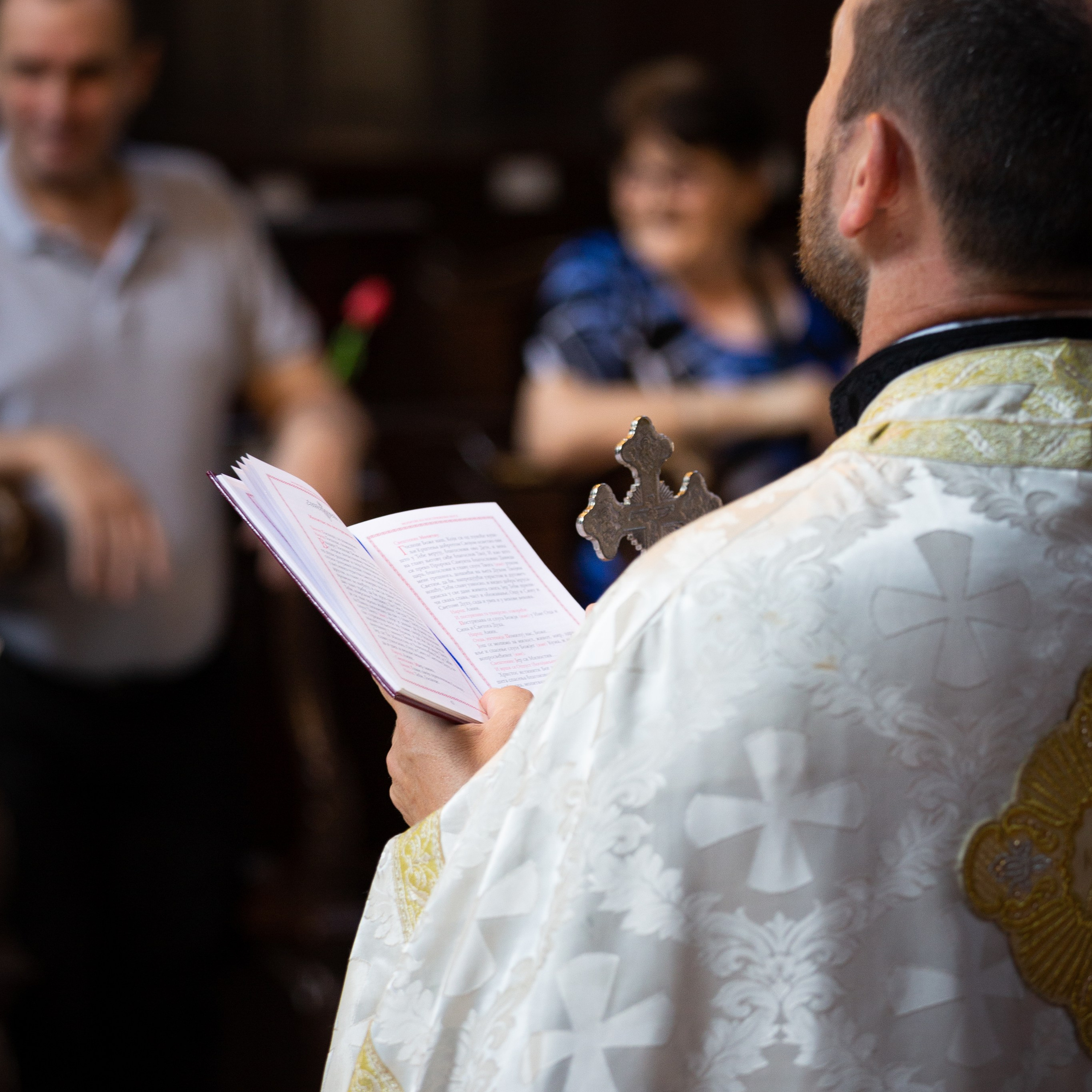 Usluge. Fotoivanpancevo