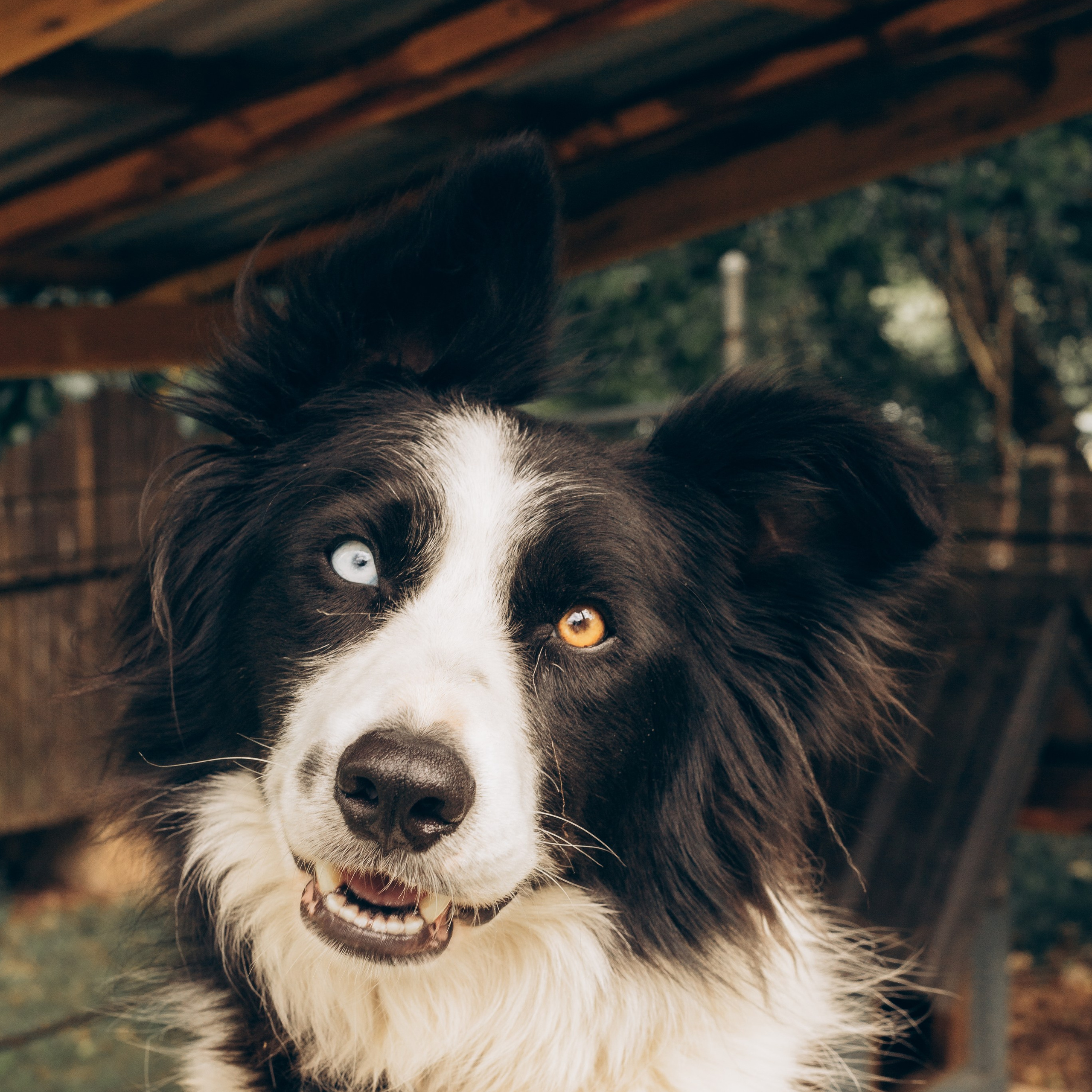 Teambuilding photo's Amsterdam