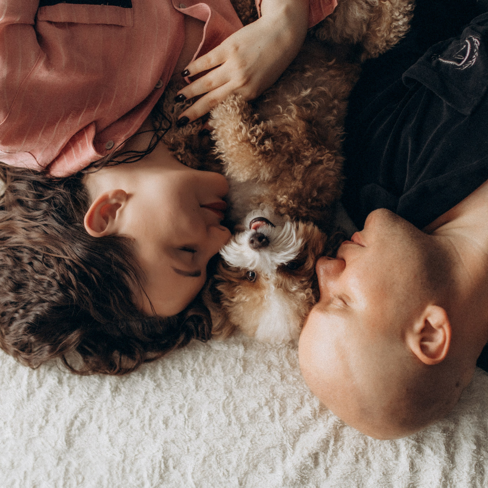 Фото. Фотограф-анімаліст Київ