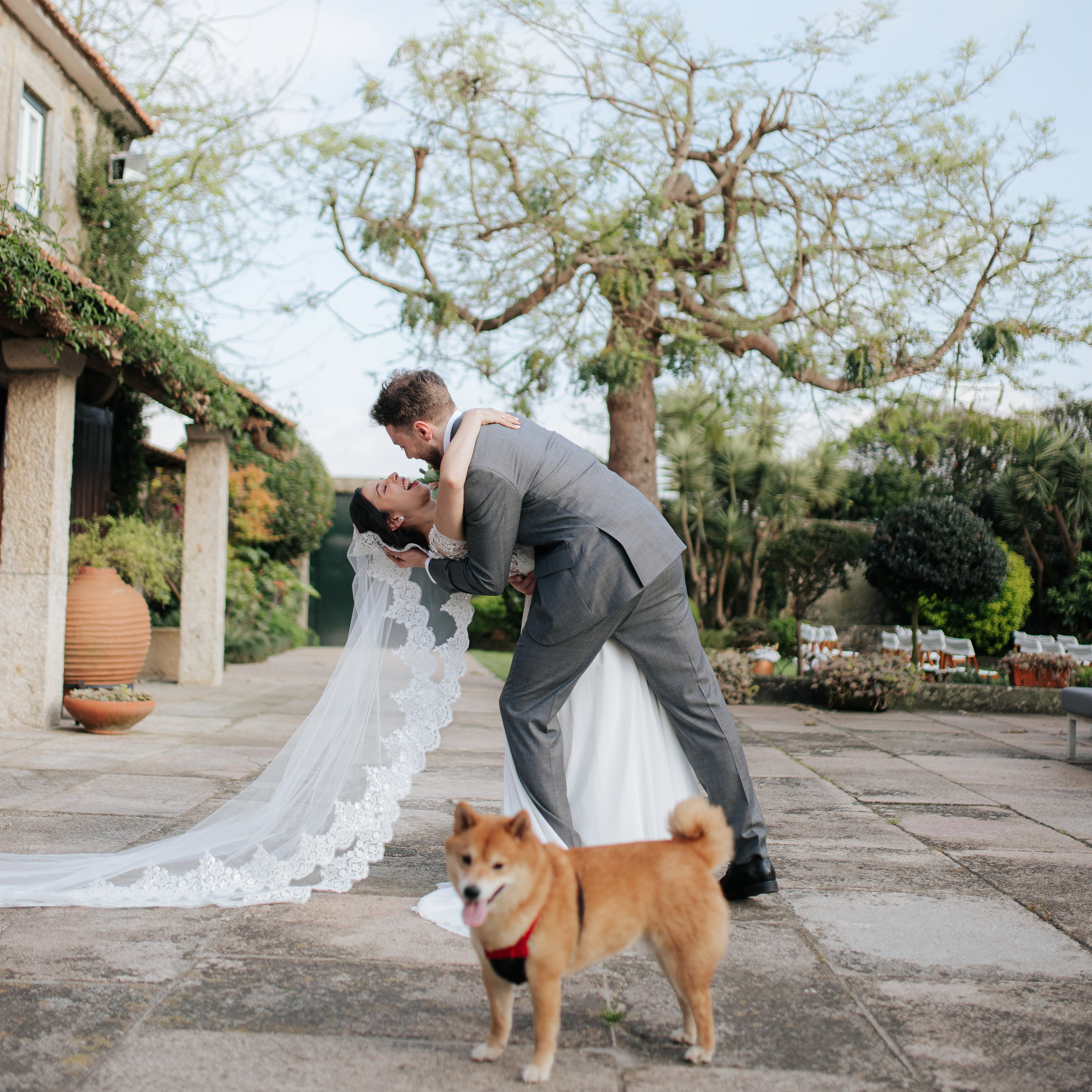 CONTACT. Davi Valente