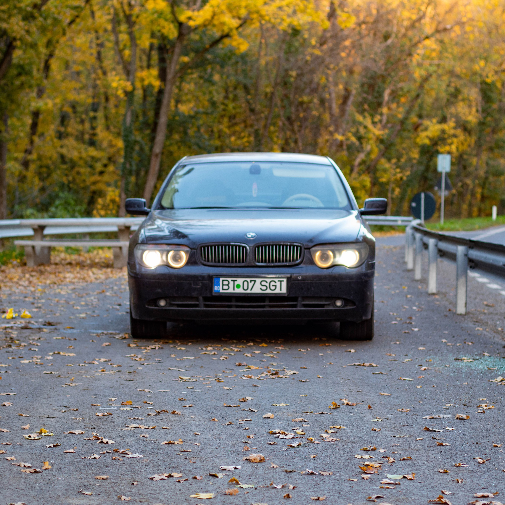 Marriage proposal in a forest setting, man on one knee holding a ring while woman reacts with joy