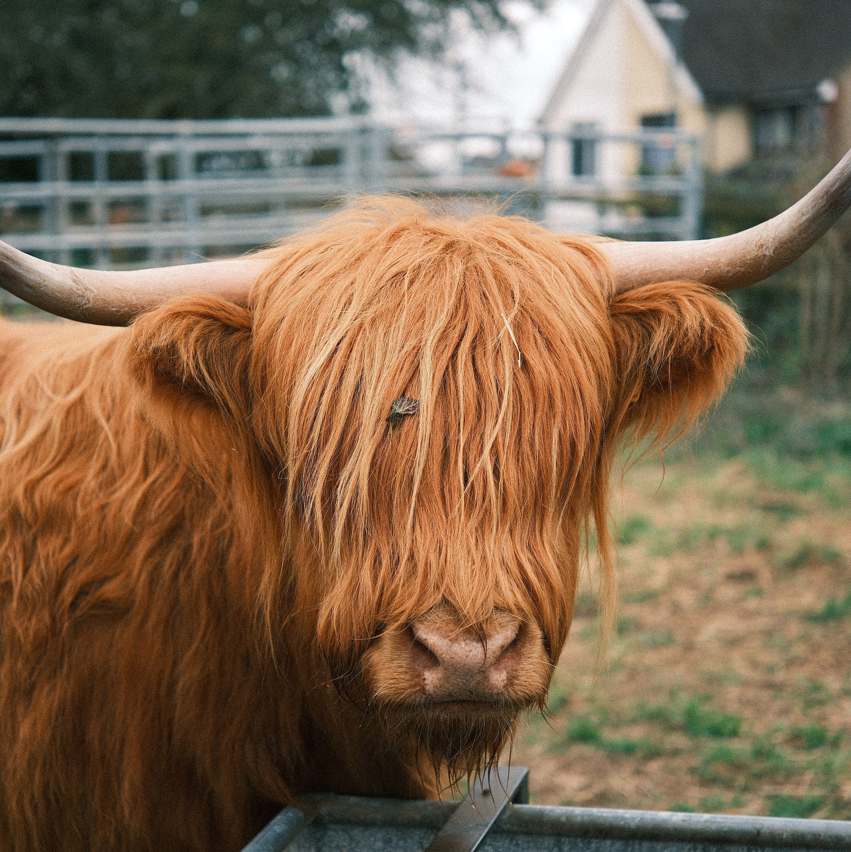 The Lens Fujifilm Should Have Made. Callum Ecobichon