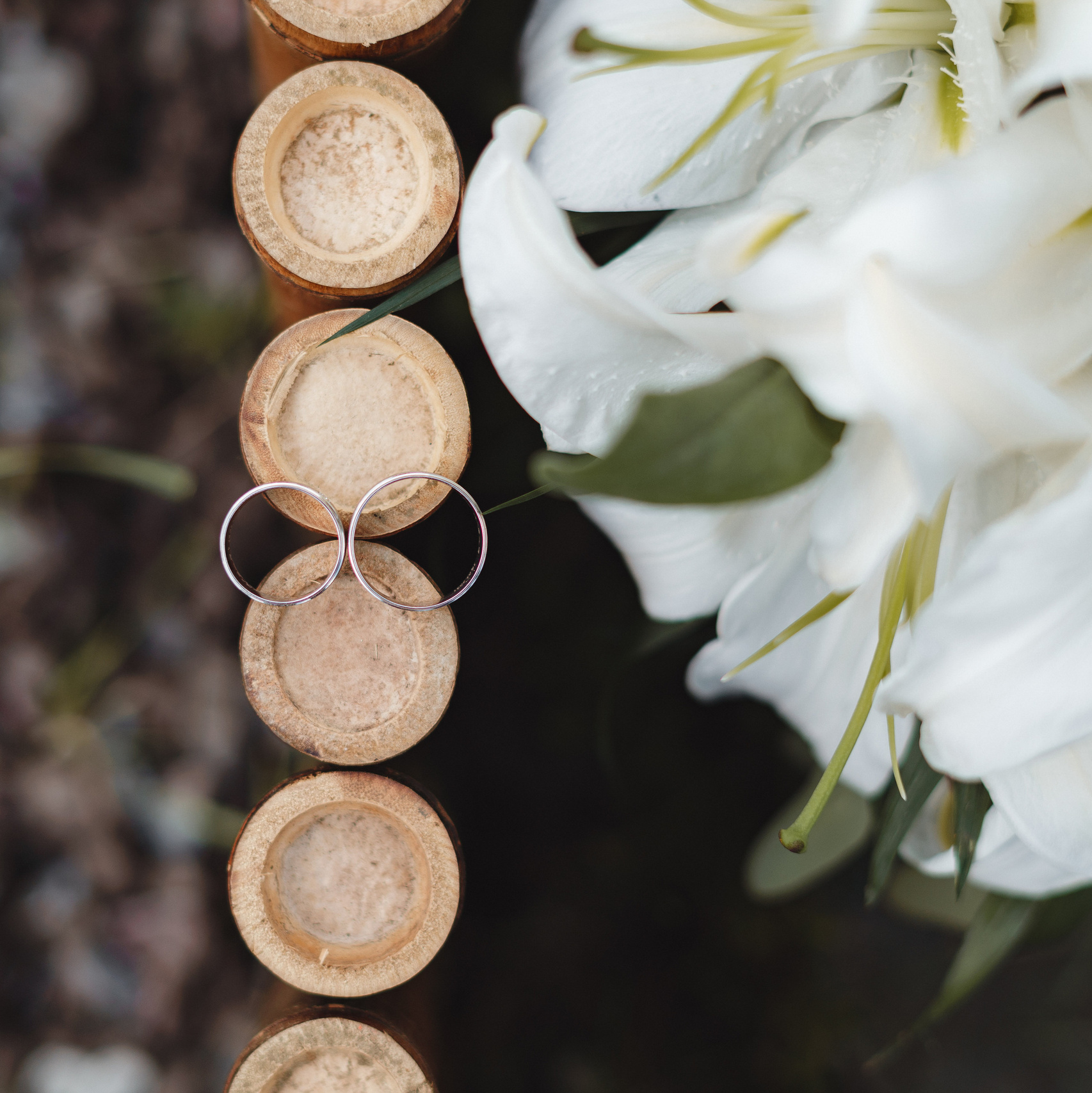 Servicii si preturi wed-film studio. Wed-Film studio -Servicii foto și video pentru nunta în Moldova