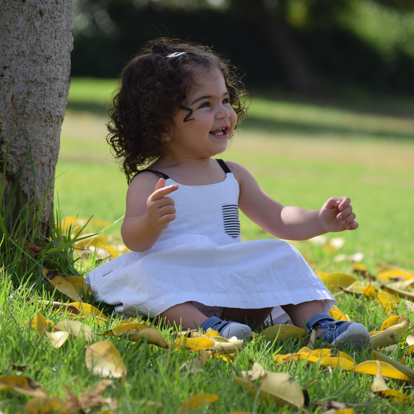 RePhoto by Reuven | צלם בצפון ובמרכז הארץ