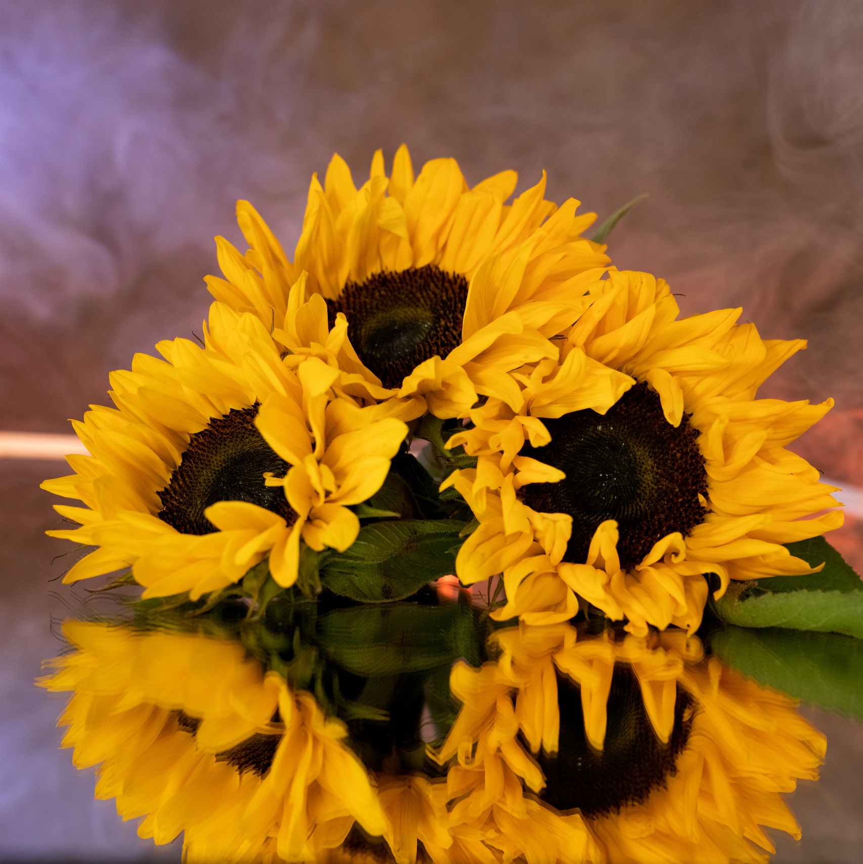 Цены. Семейный и детский фотограф в Лондоне (Кент) Наталья Биндере