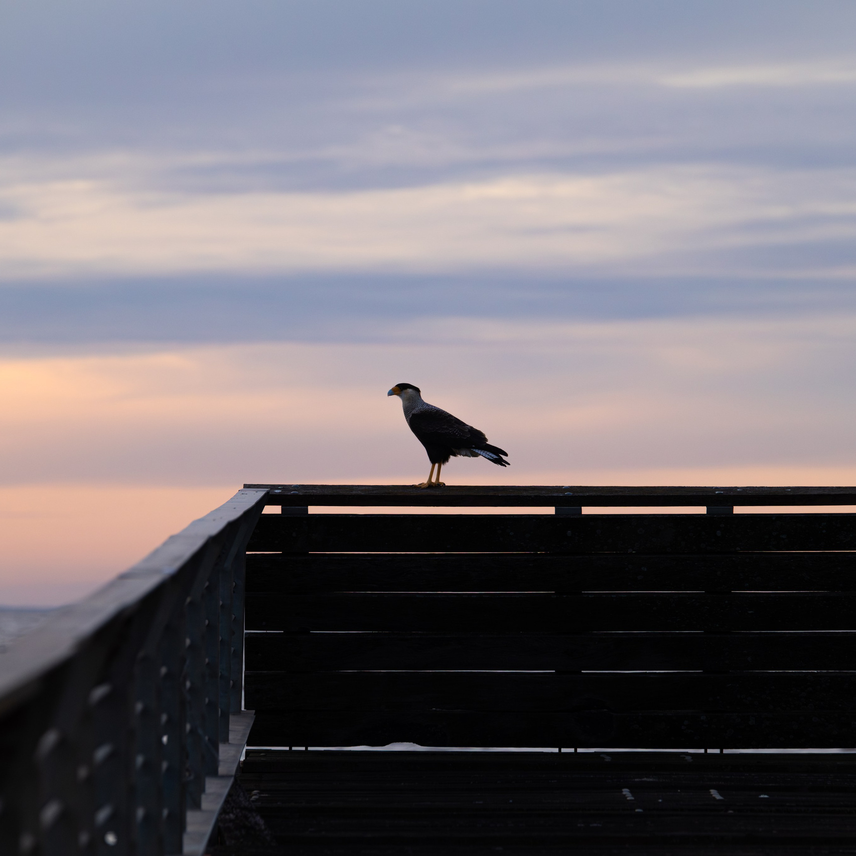 Photographer in Buenos Aires