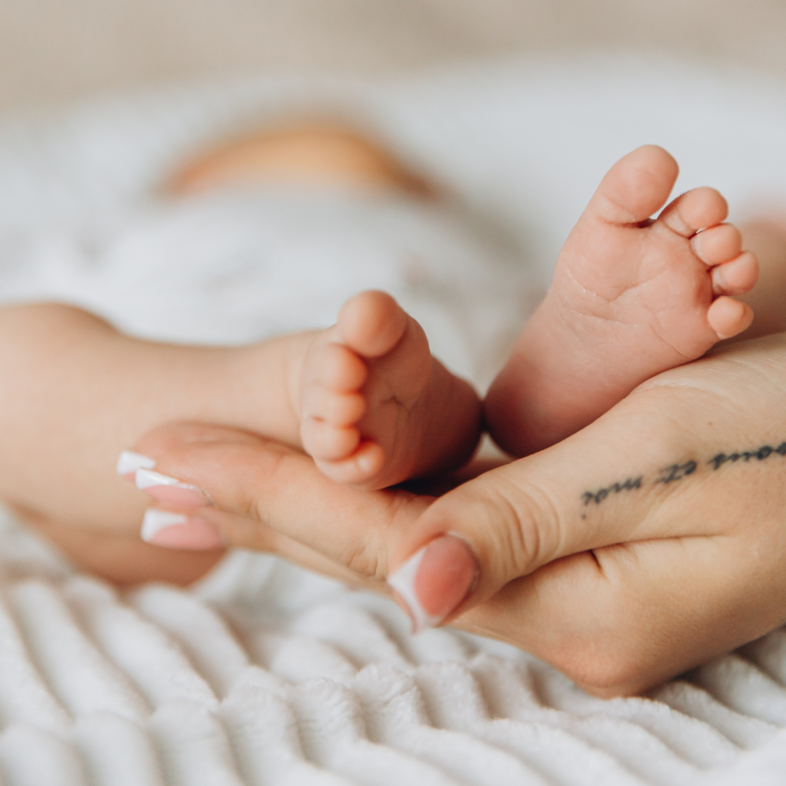 Вартість послуг. Сімейний фотограф Світлана Садовнікова