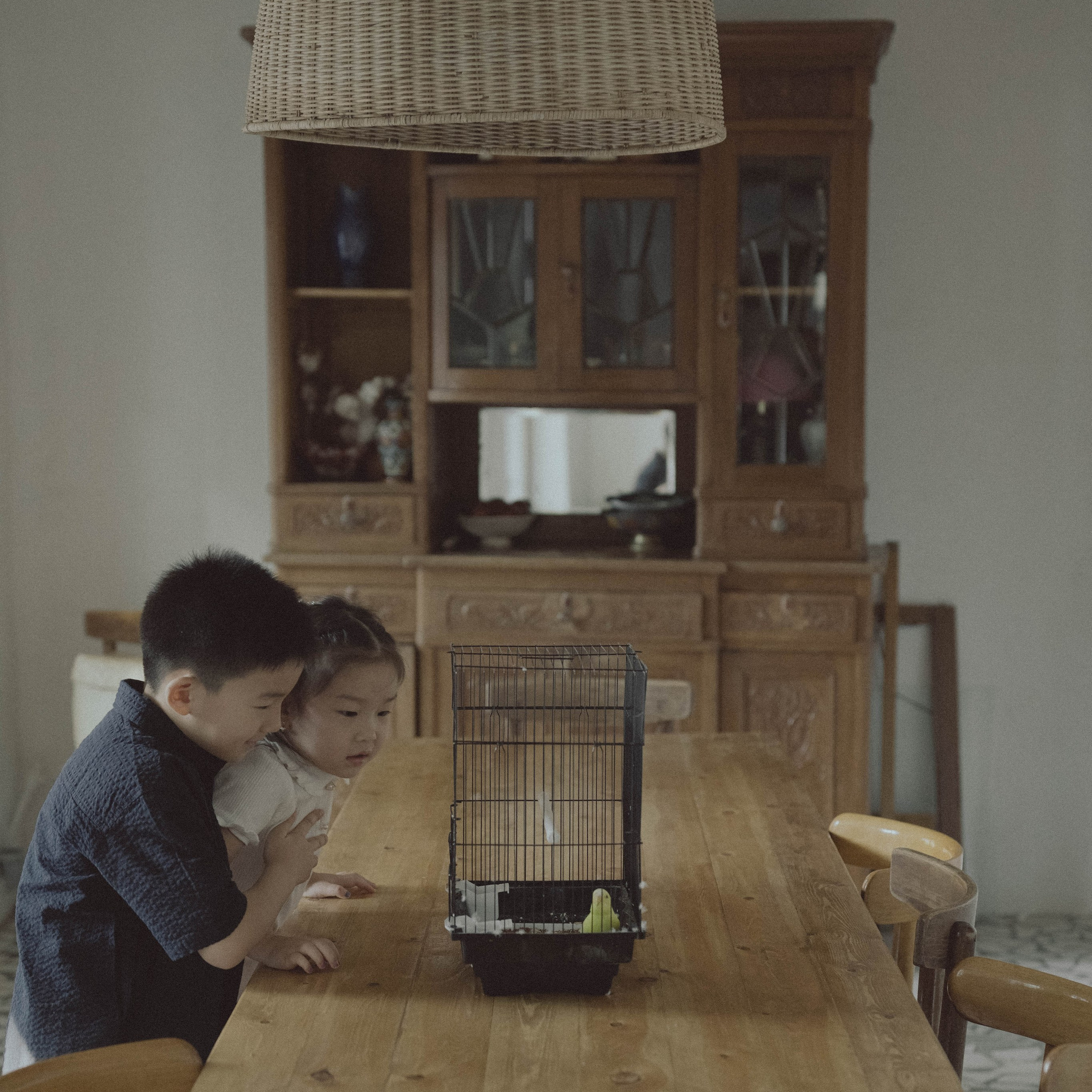 Price. Videographer Ksenia