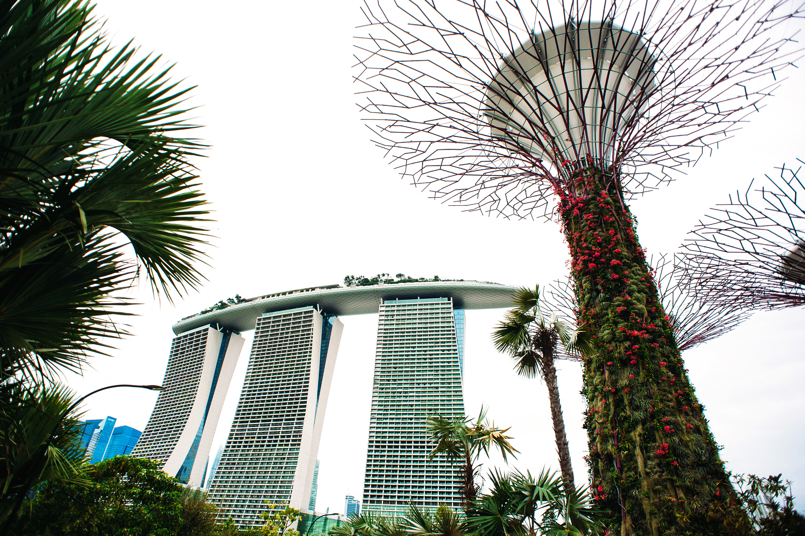 Wedding family photographer Alicante Benidorm Valencia Costa Blanca