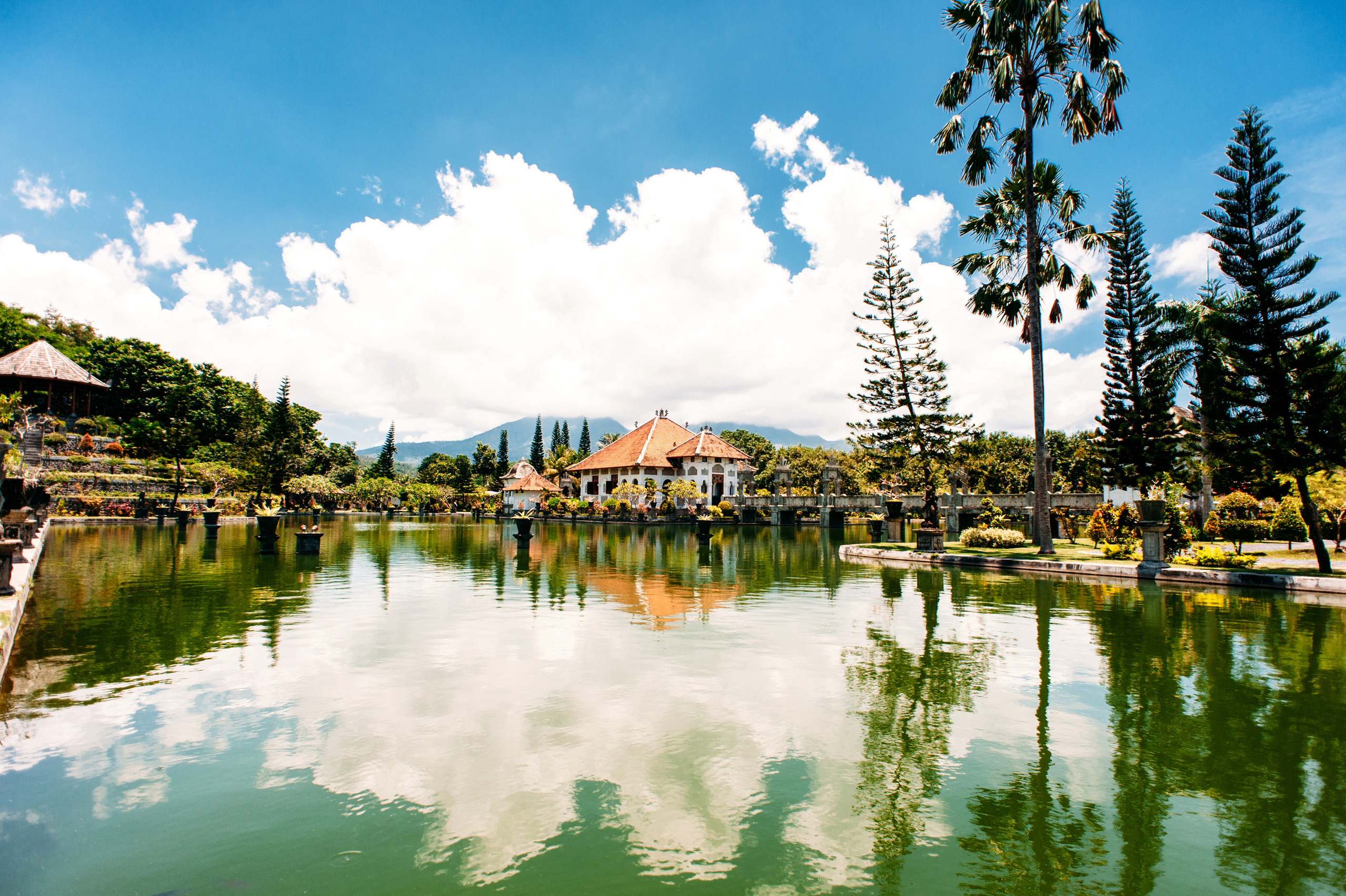 Wedding family photographer Alicante Benidorm Valencia Costa Blanca
