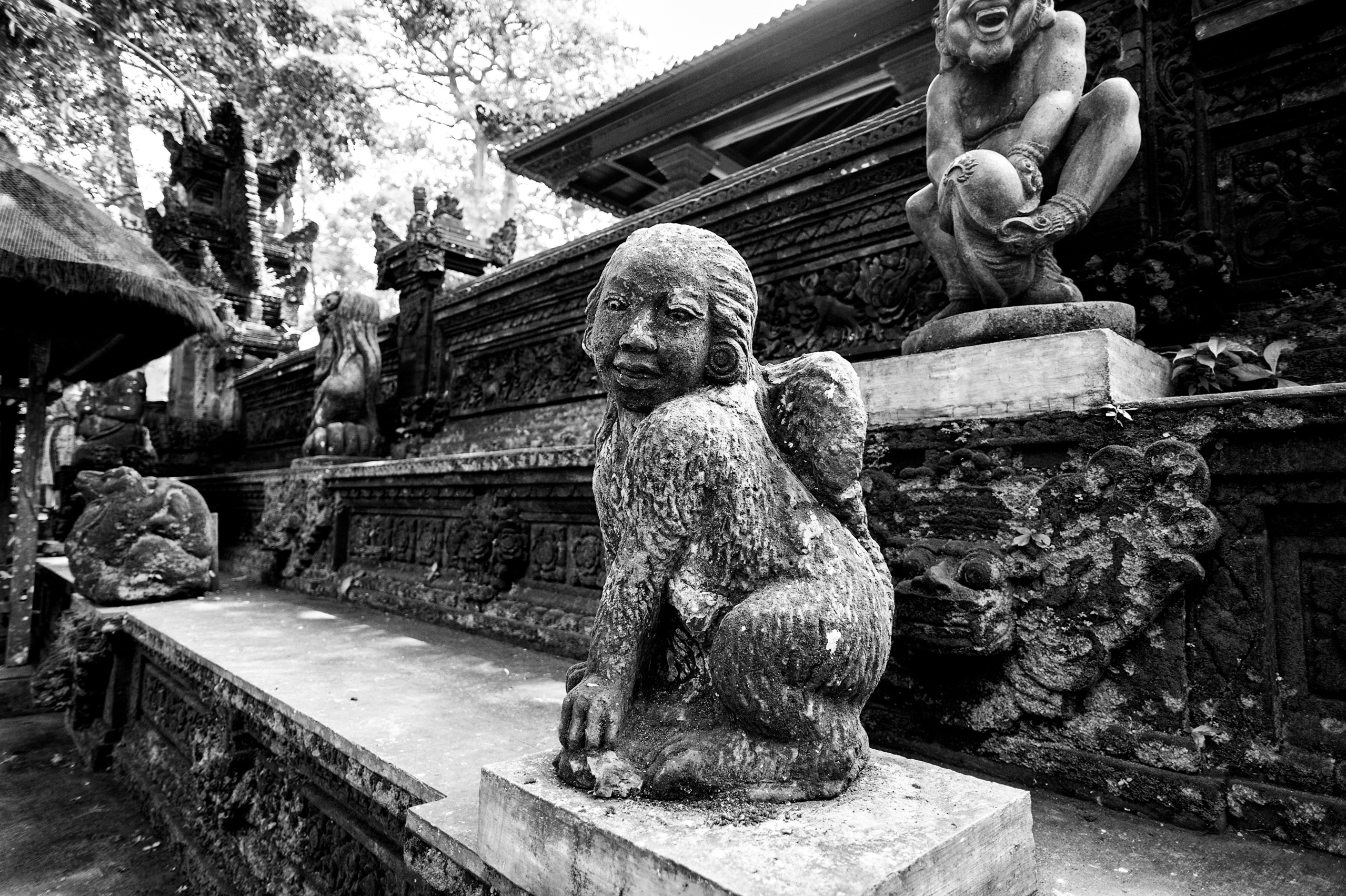 Wedding family photographer Alicante Benidorm Valencia Costa Blanca