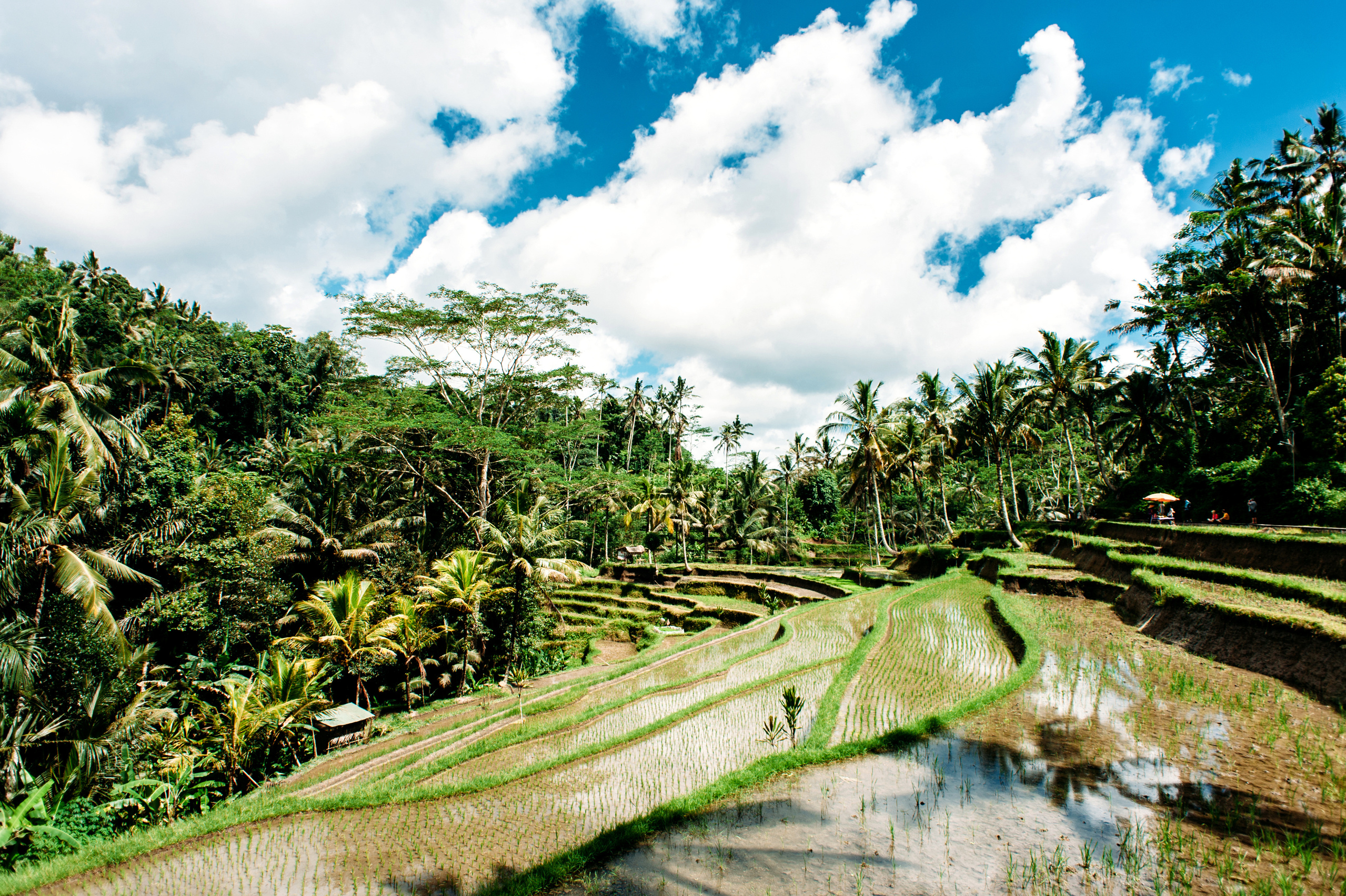 Wedding family photographer Alicante Benidorm Valencia Costa Blanca