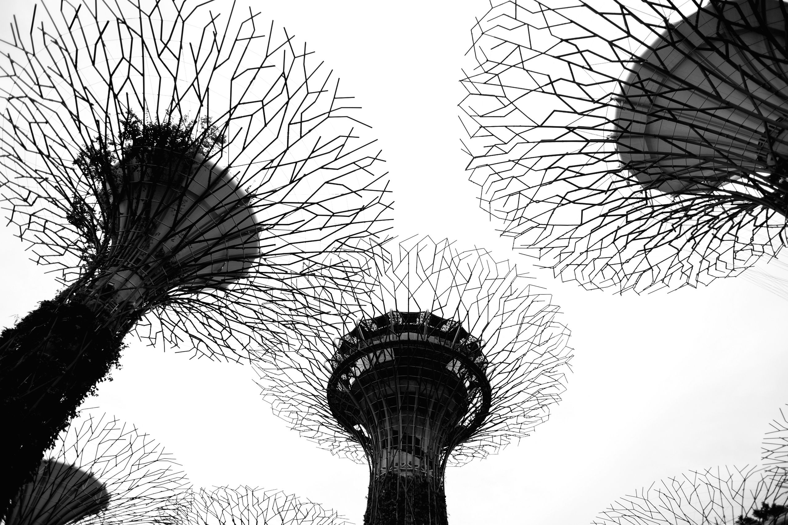 Wedding family photographer Alicante Benidorm Valencia Costa Blanca