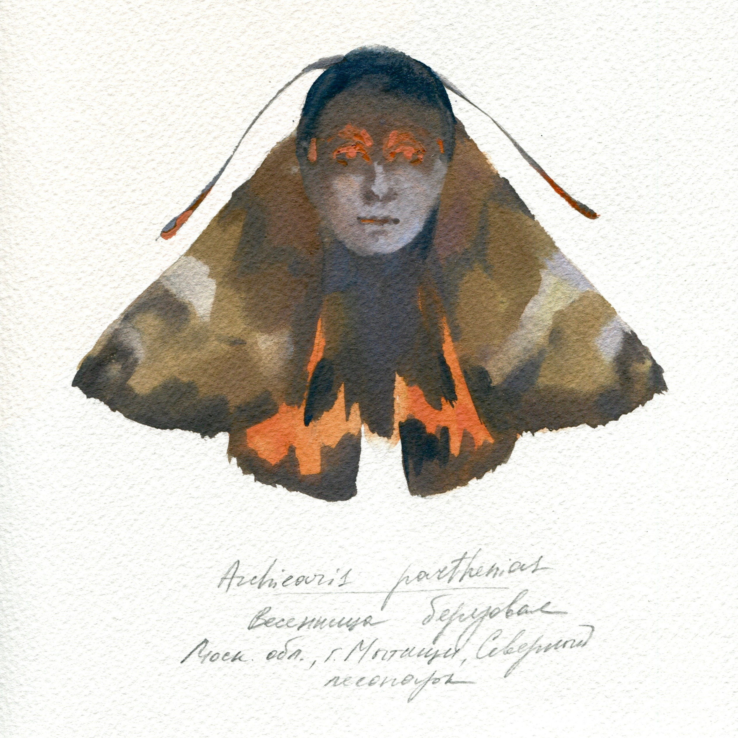 Filing System. Alina Kugush