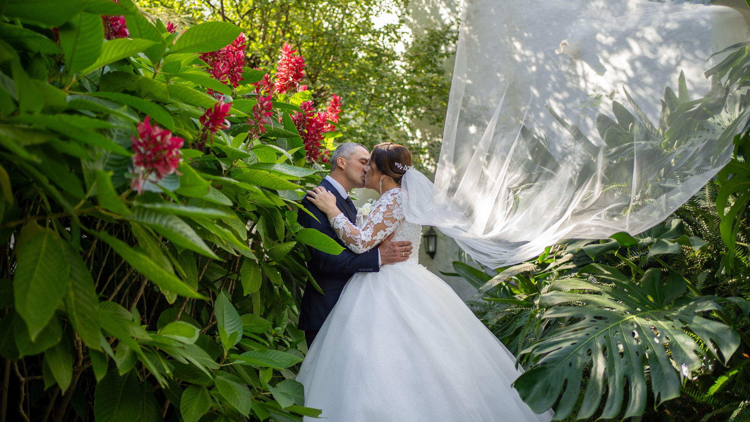 Servicios. Fotógrafo de bodas y familias en España, Málaga, Marbella