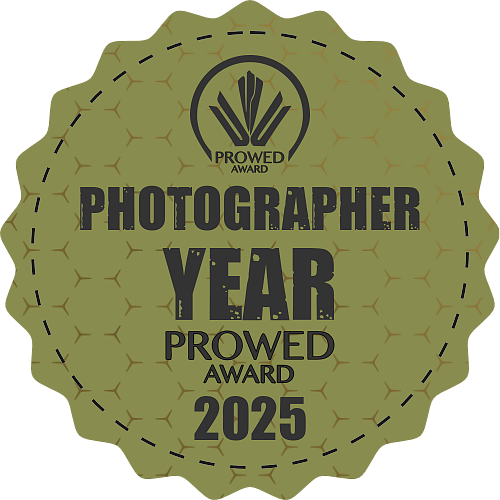 Prowedaward. Újfalvi Szilárd — Wedding, Civil Wedding, Christening & Family Photographer in Târgu Mureș and Transylvania