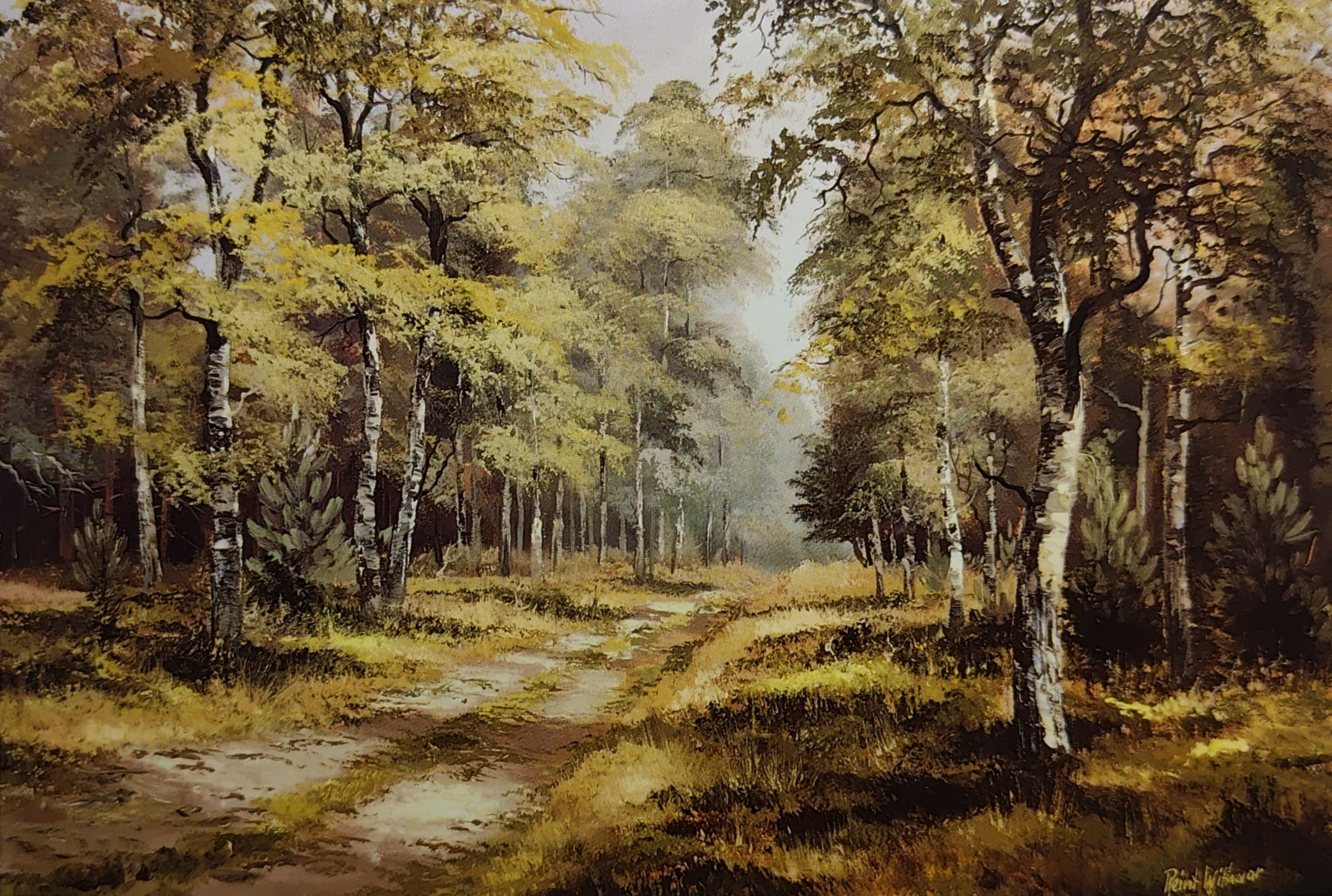 Reint Withaar — художник удивительных пейзажей. Фотограф, любитель винтажа, коллекционер винтажных открыток и создатель историй на пересечении прошлого и личного. Ирина Дайнакова