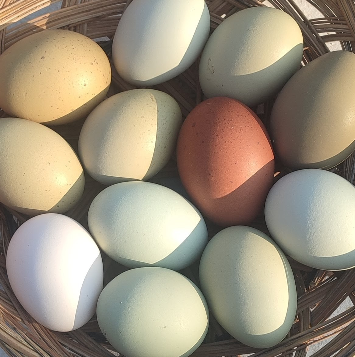 Gästehaus Ferienhaus Sausal/Kitzeck Urlaubsparadies Winzerhaus Naturgarten Bioeier Keramik Kunstwerkstatt Kreativkurs Kunstkurs handgedreht Becher mit Tiermotiv