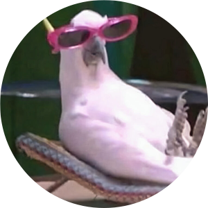 ЭКСПРЕСС КУРС ПО СВАДЕБНОЙ ФОТОГРАФИИ. Wedding photographer Como Lake, Italy