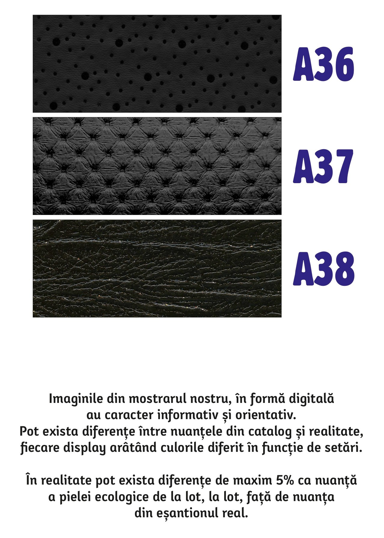 Monstre culoare Album Sabin Florin Fotograf Nunta