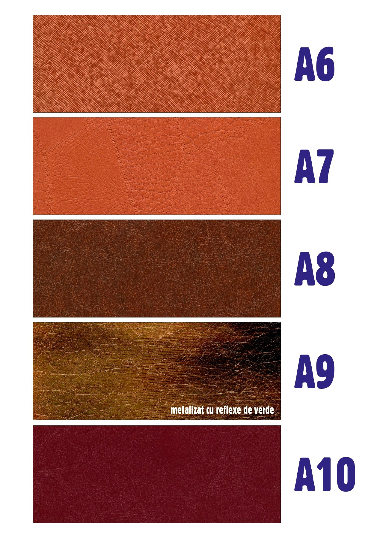 Monstre culoare Album Sabin Florin Fotograf Nunta