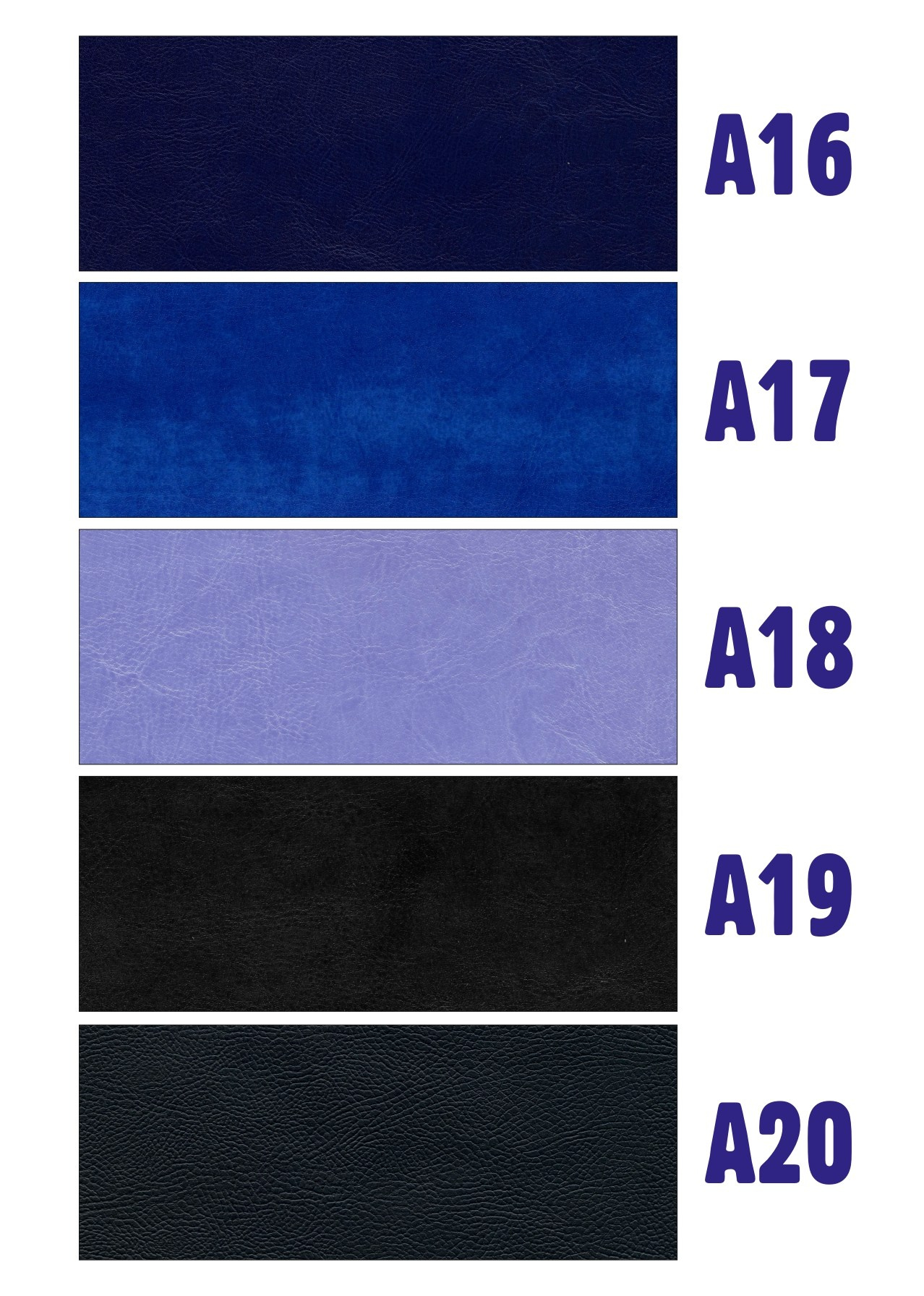 Monstre culoare Album Sabin Florin Fotograf Nunta