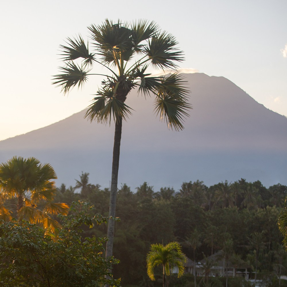 Ретрит 10 дней на бали. Индивидуальный и парный фотограф на Бали — Bali Dream Photo