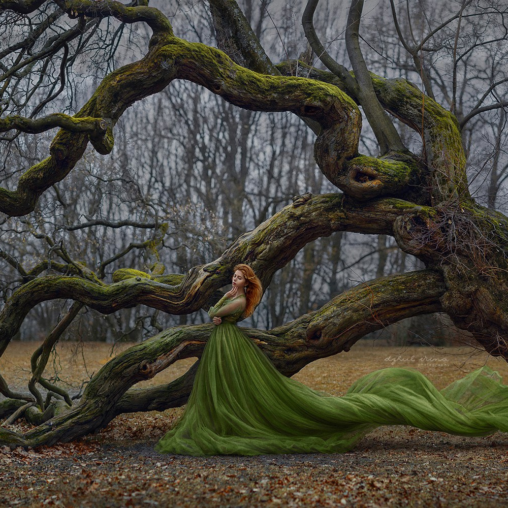 SOUL OF TREE. Art photographer in Amsterdam, the Netherlands Irina Dzhul