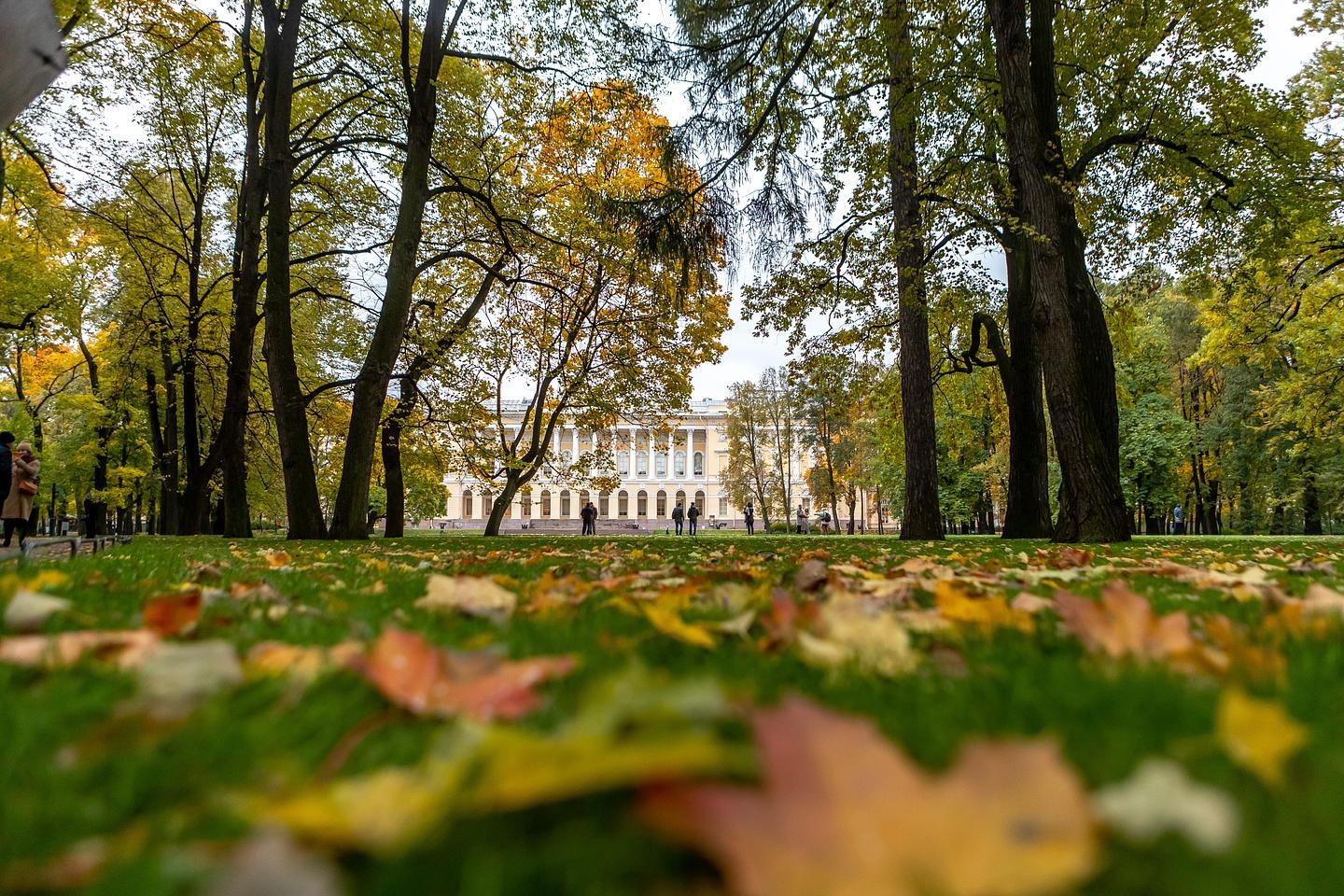 Осенняя съемка. Михайловский сад СПб