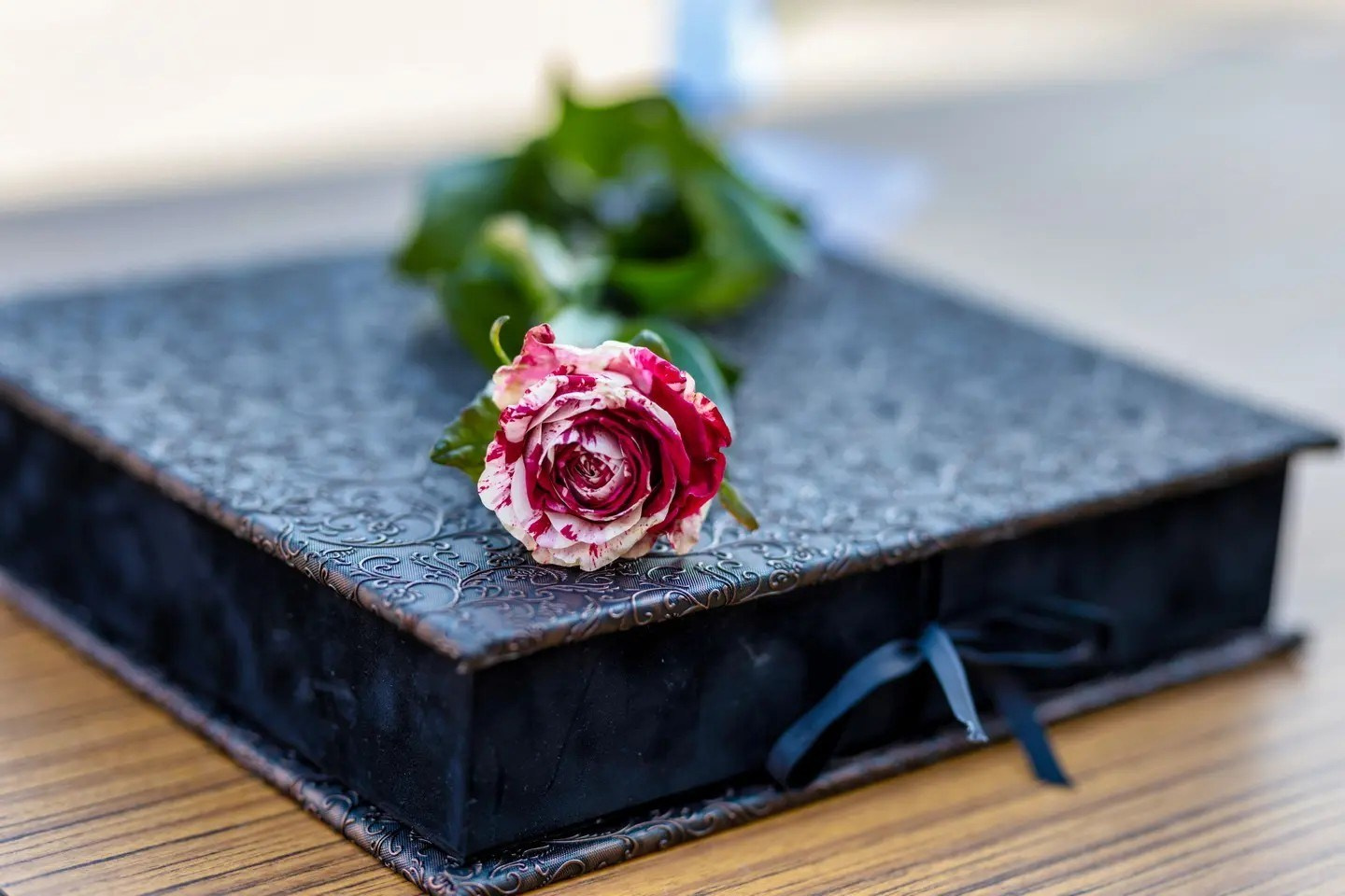 Vasile Mizgan albume absolvenți 2026