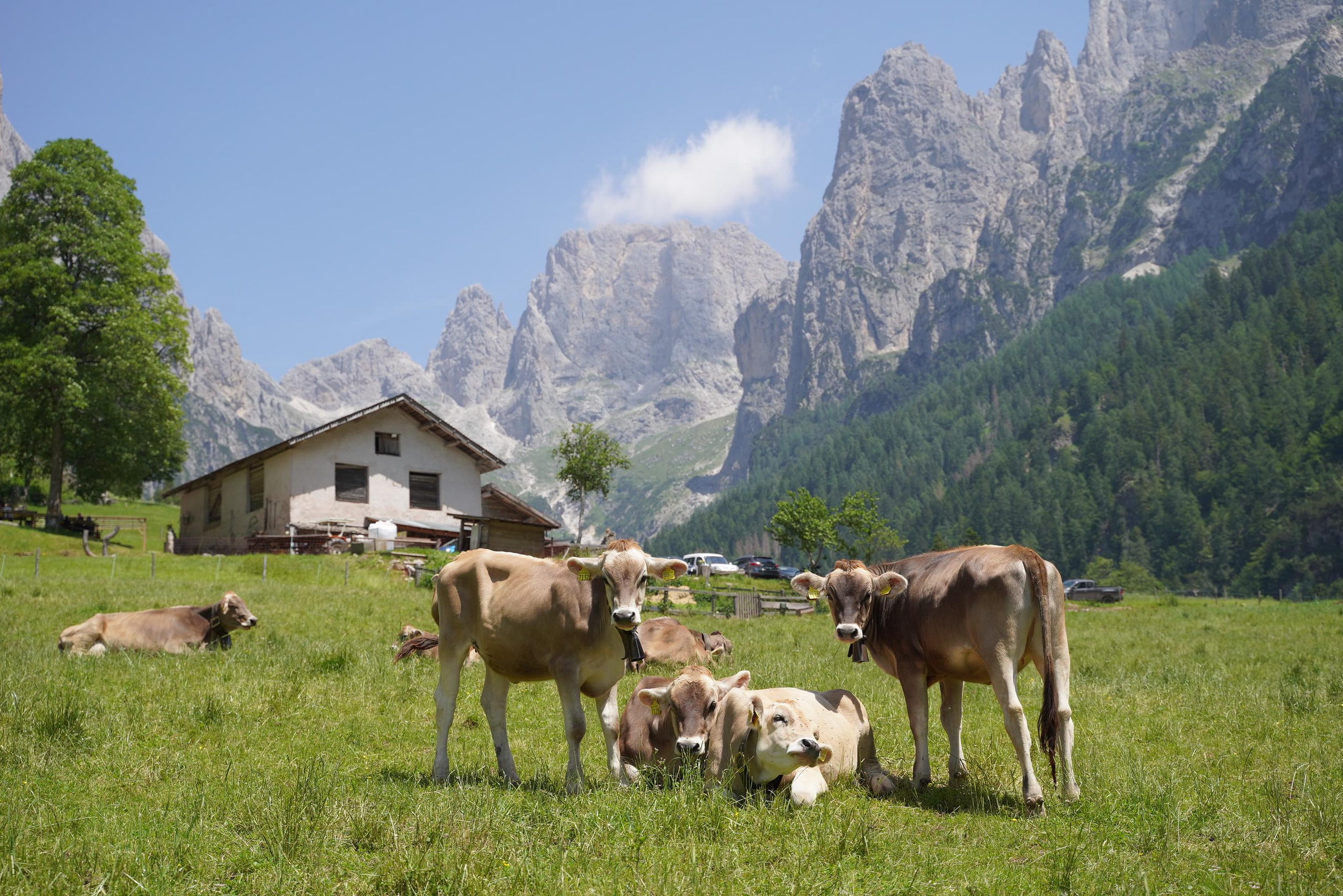 «Первобытные люди» в Доломитах, июль–август 2024 год. Семейные лагеря в Европе с Ниной Янечковой и Ириной Зиновьевой