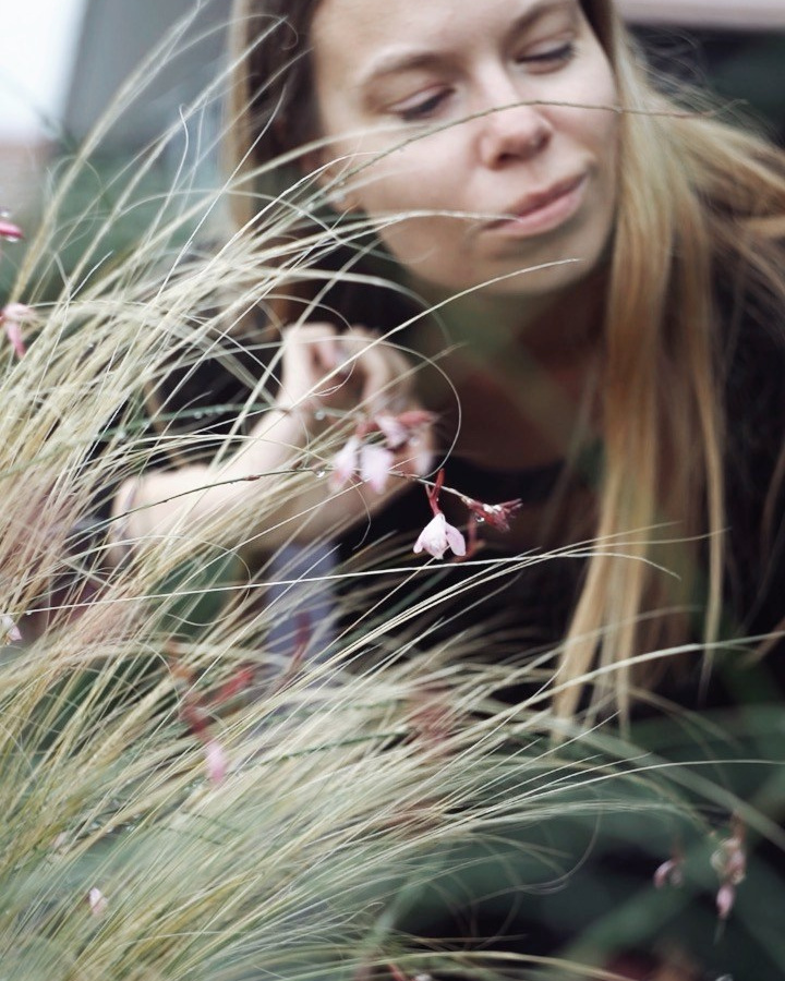 Консультации. Ekaterina Media