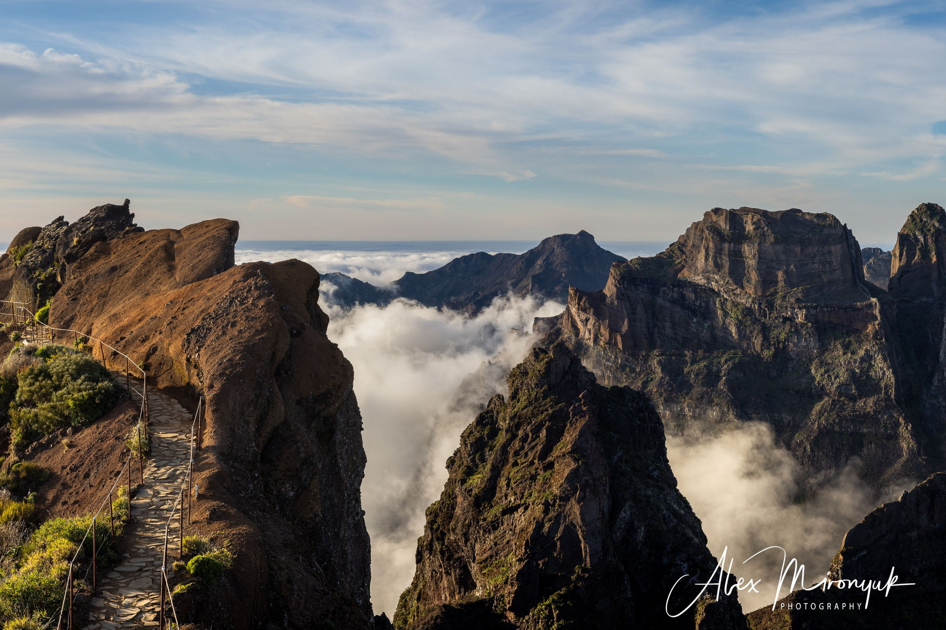 Madeira And Azores. Pet, Senior, Landscape, portrait studio, photographer in Miami and Sou