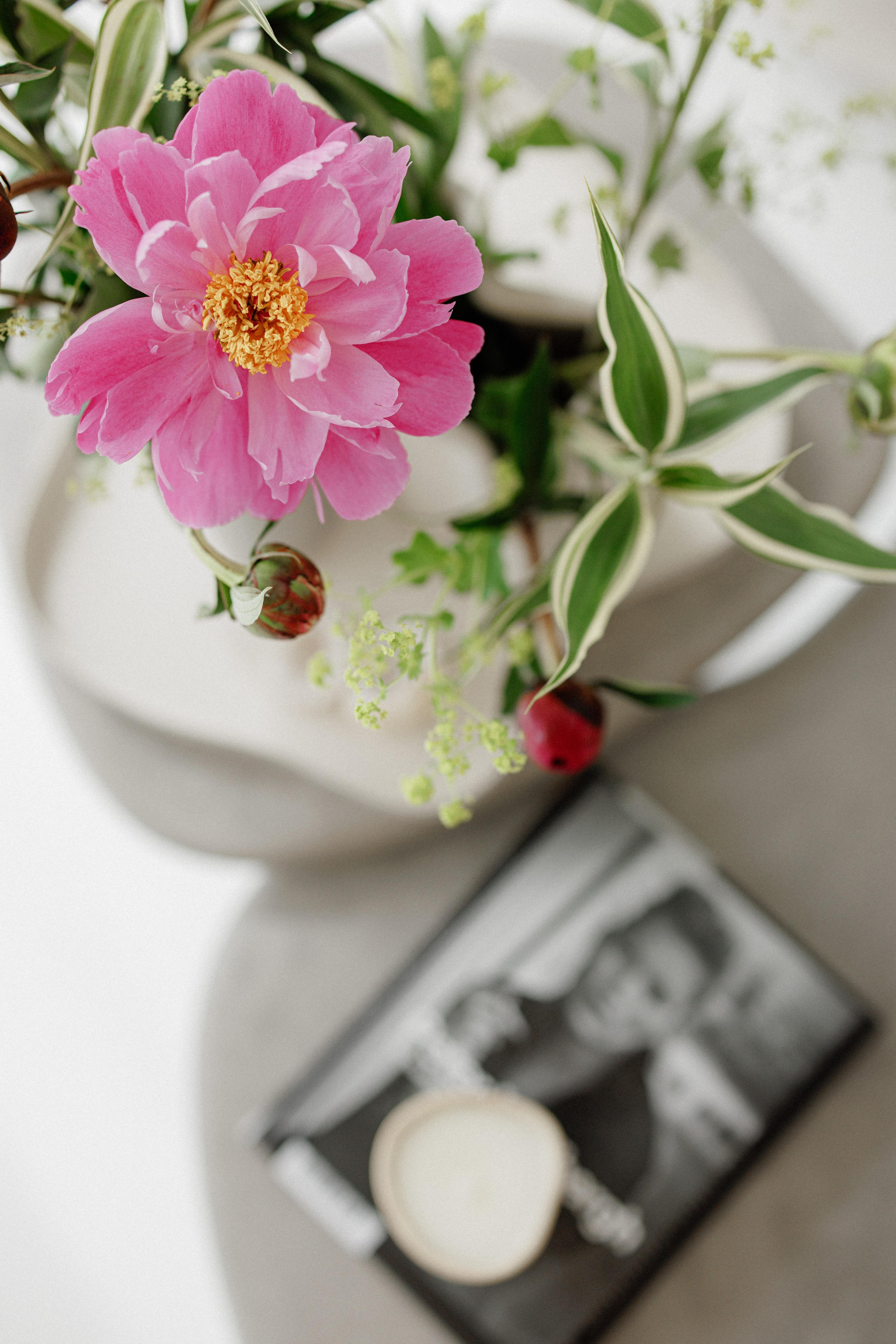 Book your Daylight Photo Studio in Uster now and create content with character!. Wedding and Family Photographer Switzerland and Italy. Valeria Diaz