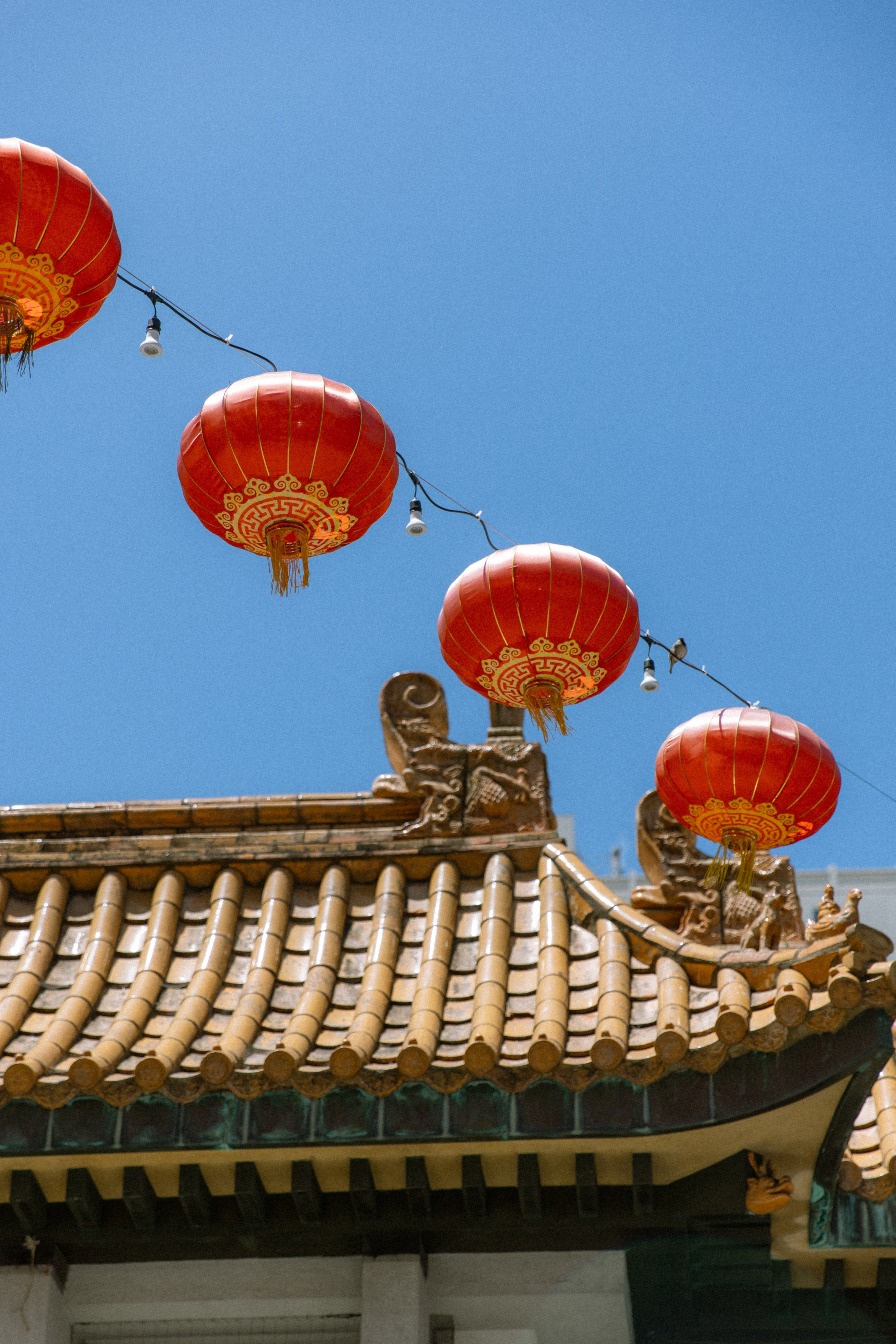 San Francisco Aesthetic: Free Phone Wallpapers. Photographer in Los Angeles. Julia Ishmuratova