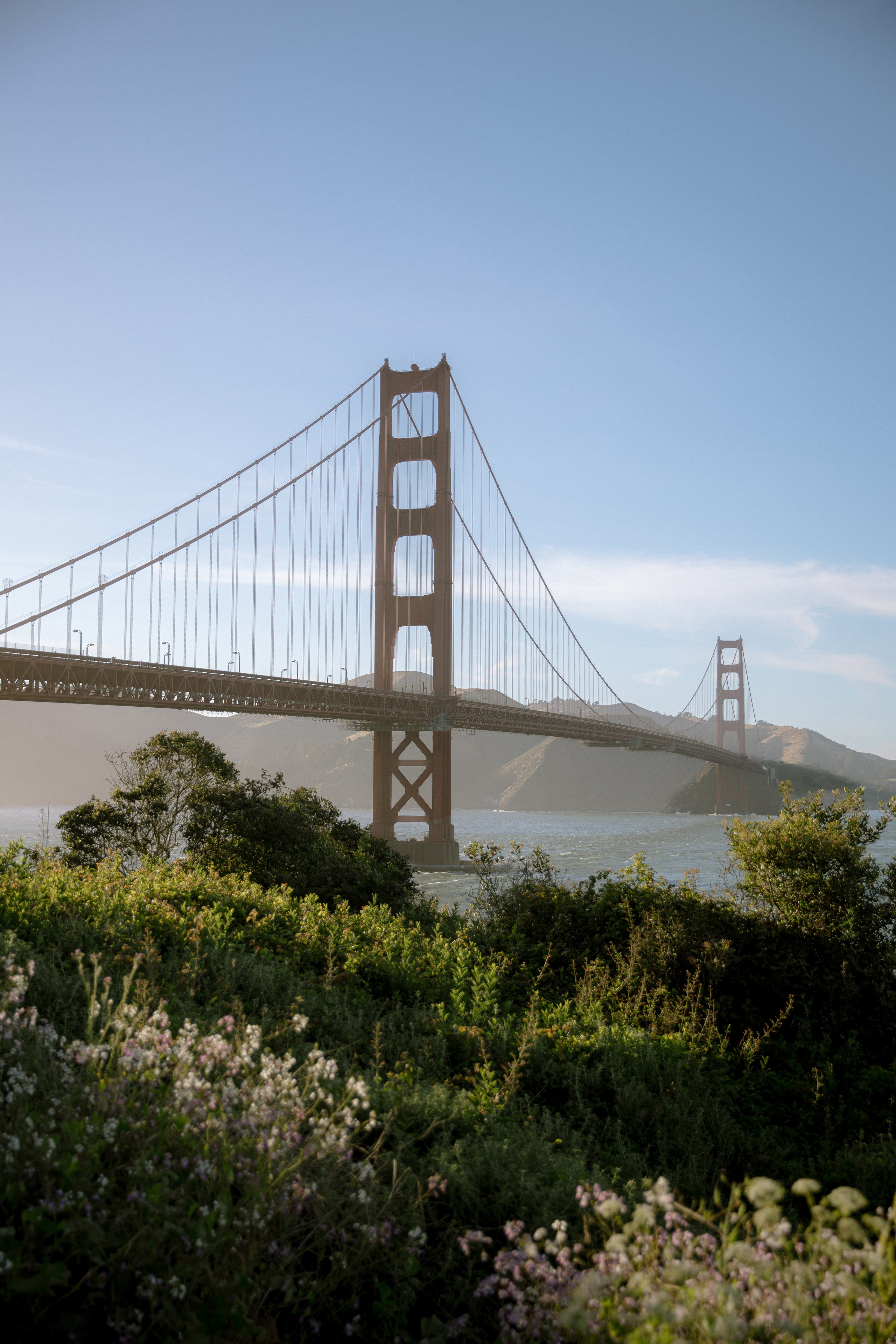 San Francisco Aesthetic: Free Phone Wallpapers. Photographer in Los Angeles. Julia Ishmuratova