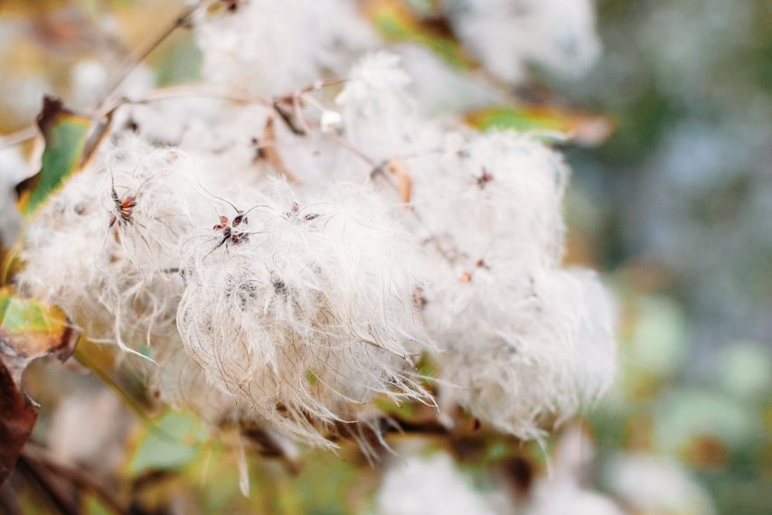 Event & Reportage Photographer Rotterdam | Natalia Olhova. Romantic & Soulful Photography by Natalia Olhova in Rotterdam