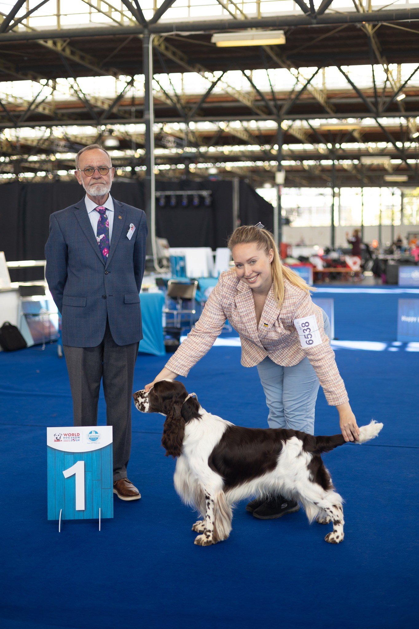 Photo of springer spaniel at the World Championships in Croatia