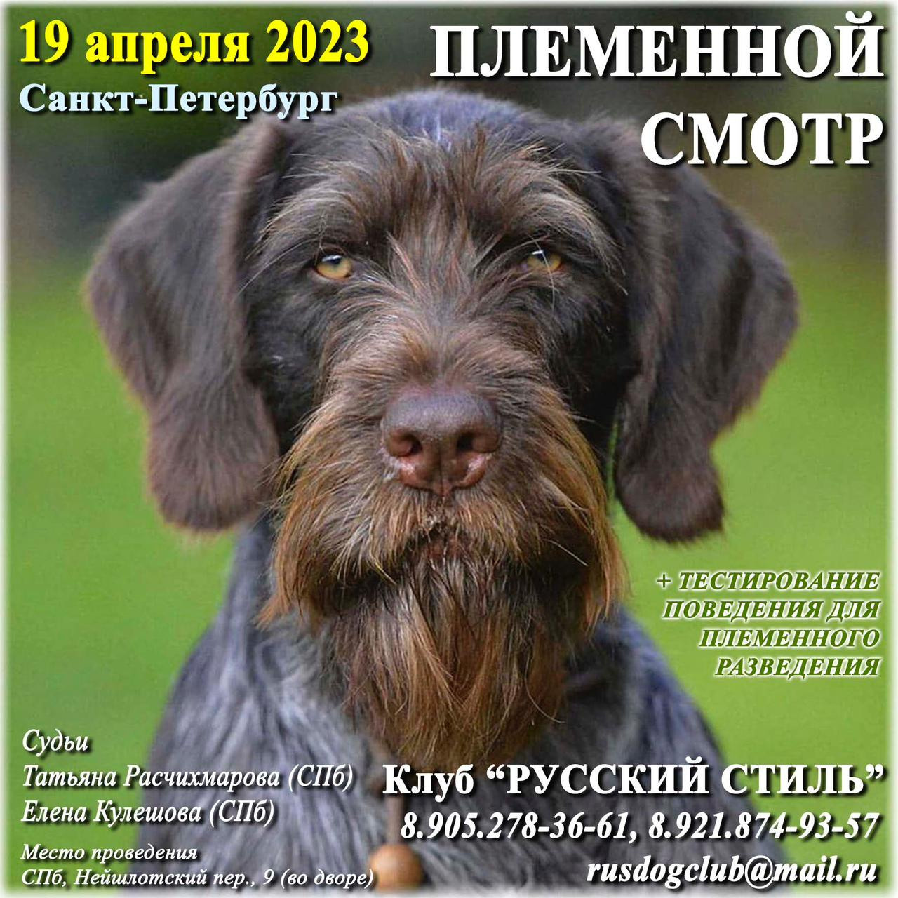 Племенной смотр 19.04.2023. Кинологический клуб РКФ РФСС СЕНСАЦИЯ
